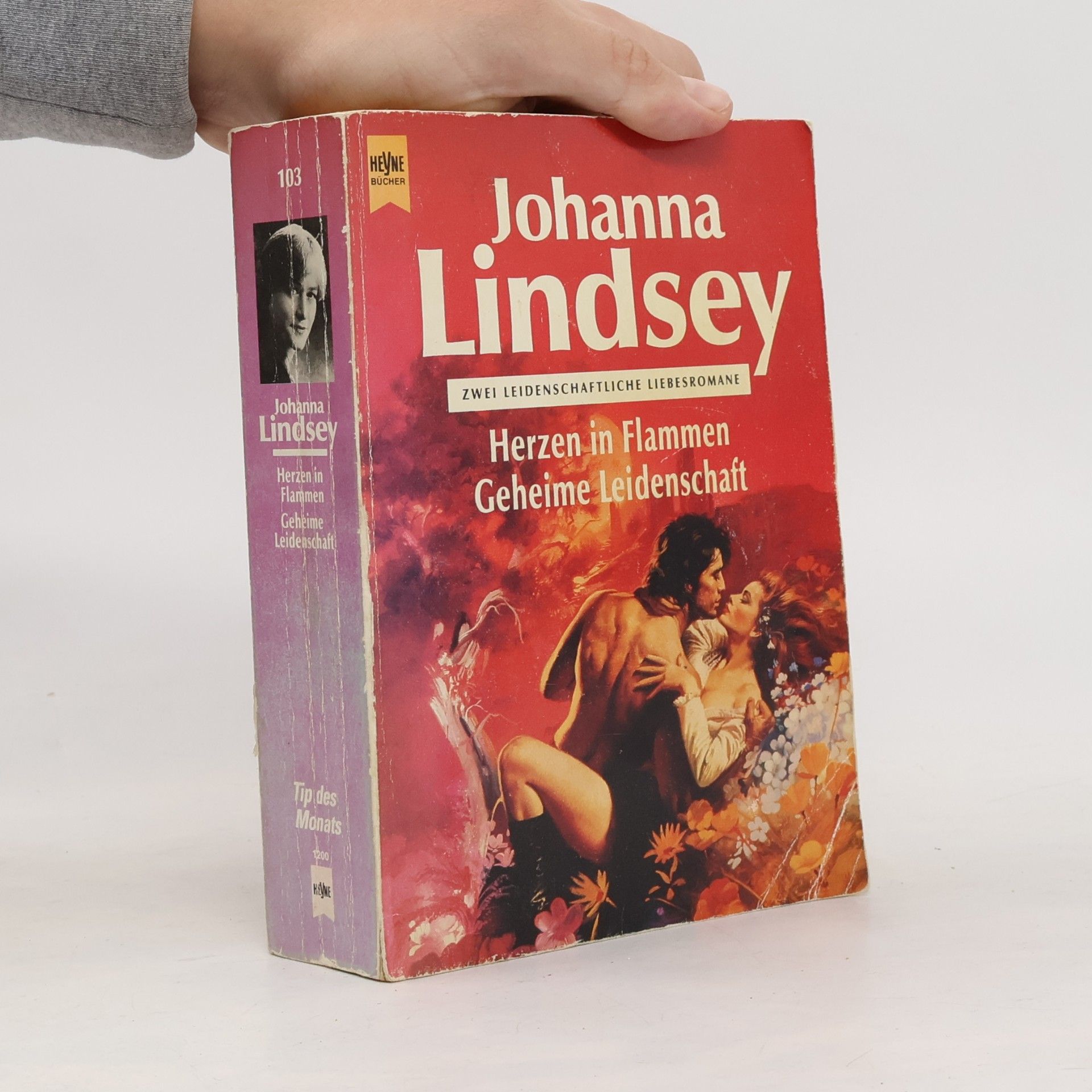 Johanna Lindsey Herzen in Flammen. Geheime Leidenschaft. Zwei leidenschaftliche Liebesromane