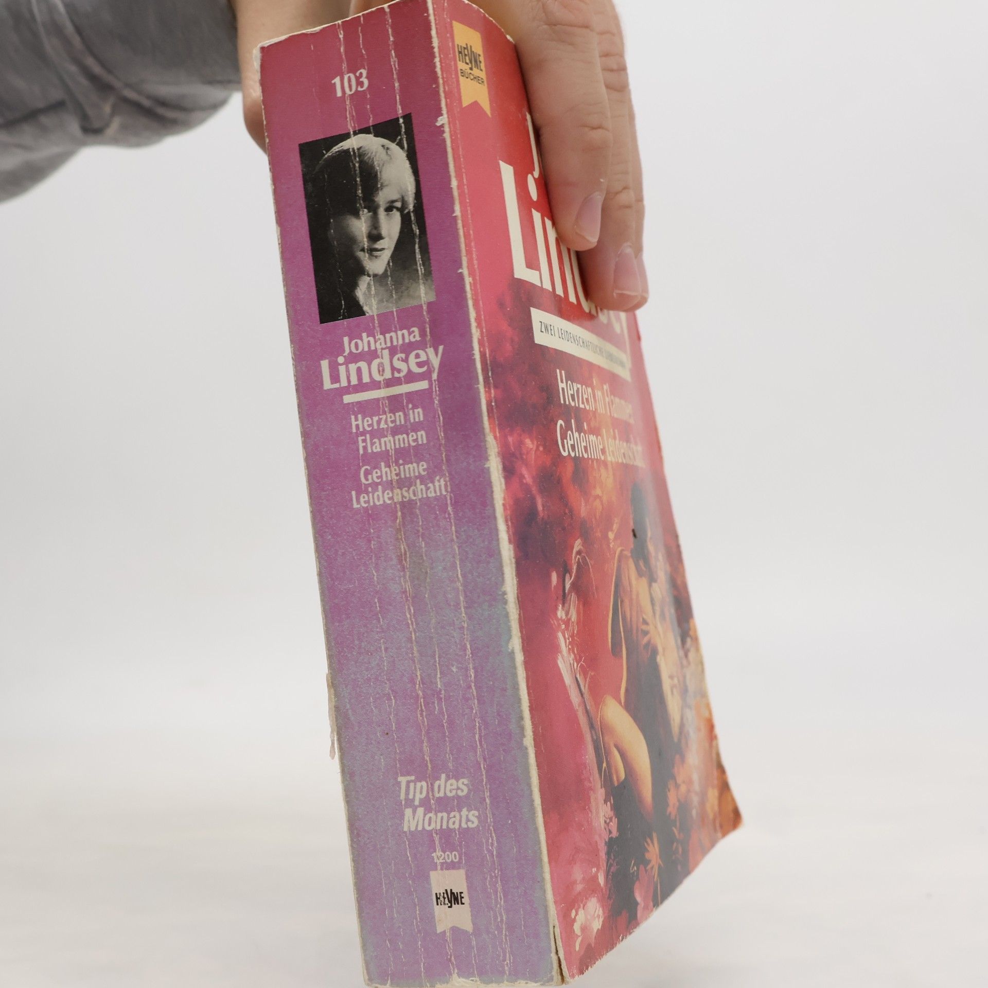 Johanna Lindsey Herzen in Flammen. Geheime Leidenschaft. Zwei leidenschaftliche Liebesromane