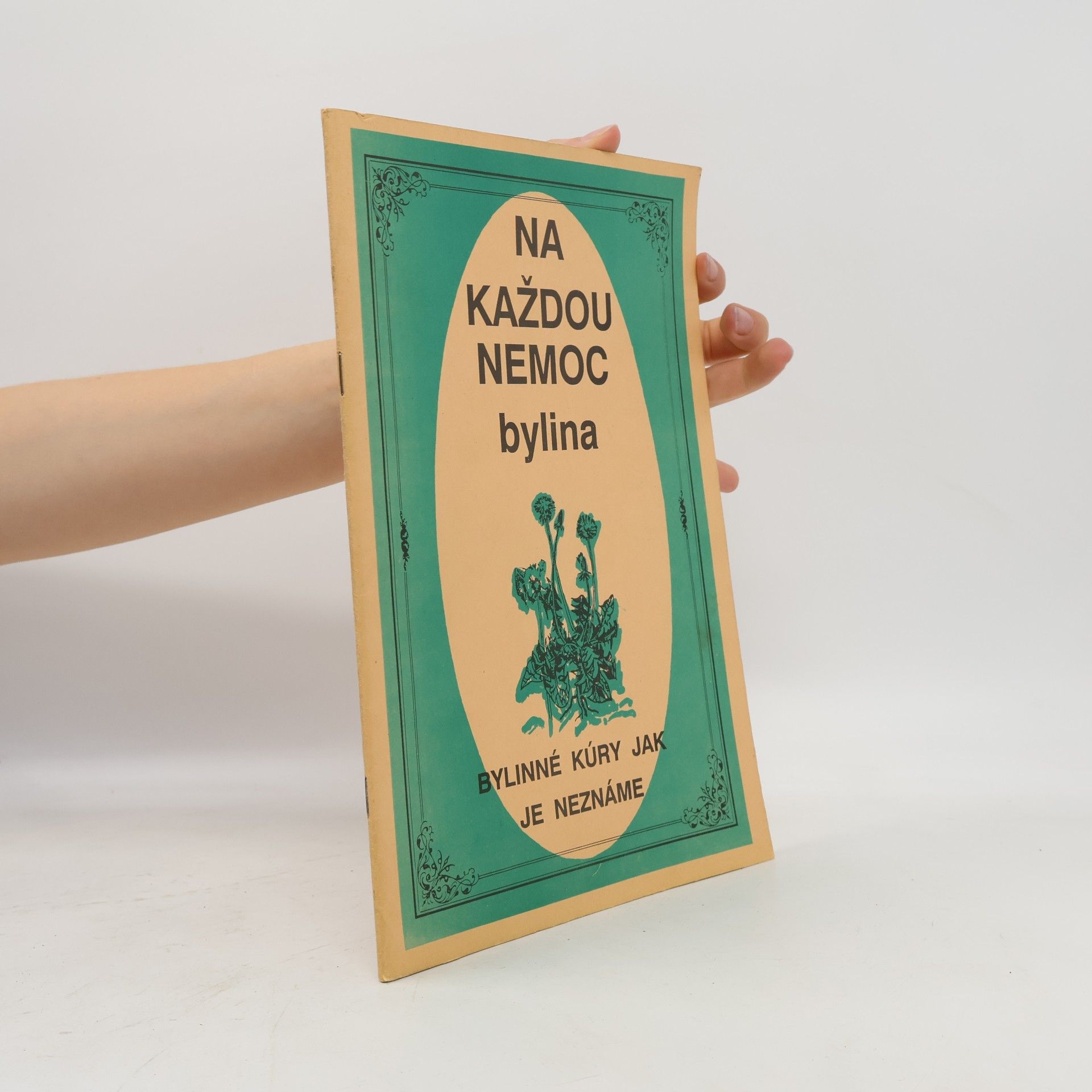 Autorenkollektiv Na každou nemoc bylina