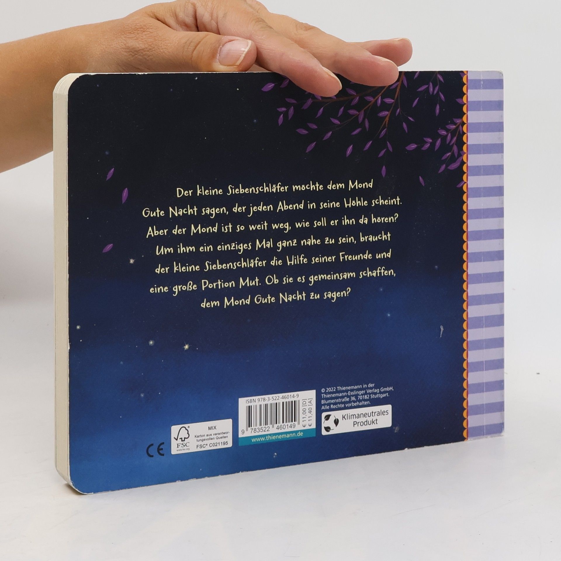 Sabine Bohlmann Der kleine Siebenschläfer 6: Die Geschichte vom kleinen Siebenschläfer, der dem Mond Gute Nacht sagen wollte