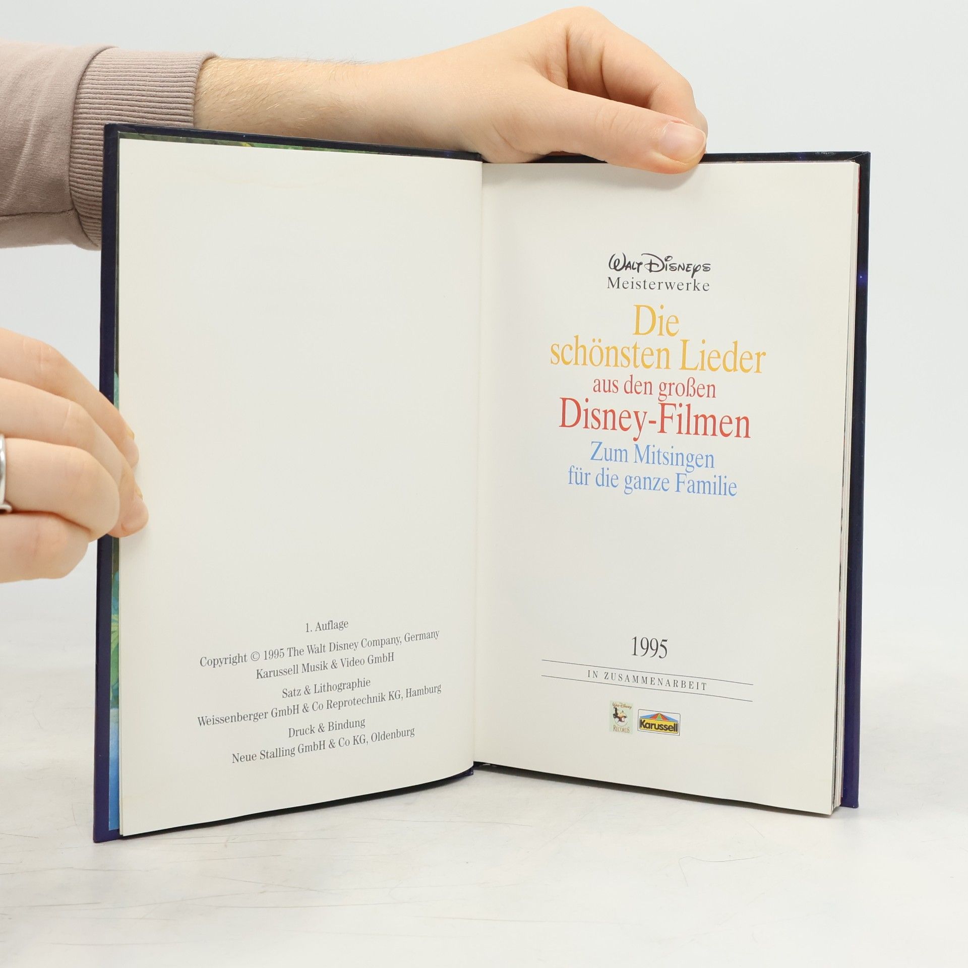 Autorenkollektiv Die schönsten Lieder aus den großen Disney-Filmen zum Mitsingen für die ganze Familie