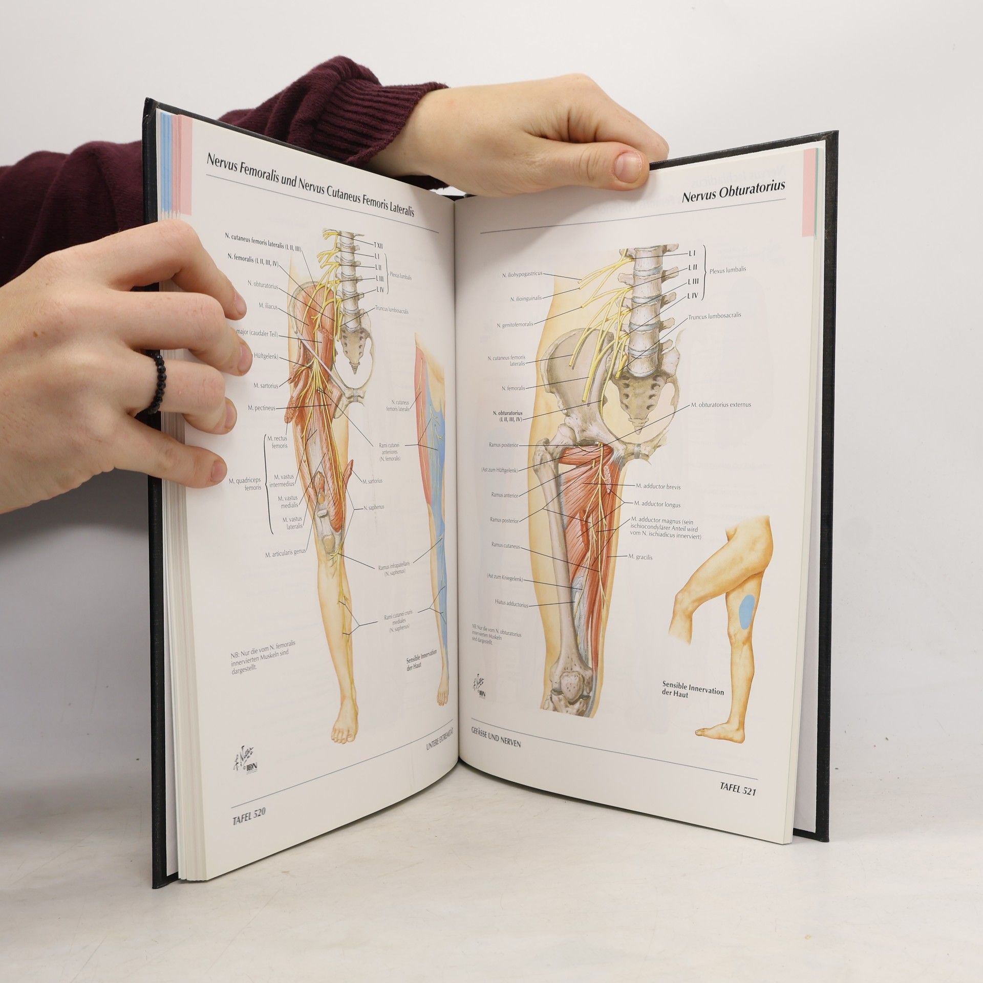 Frank H. Netter Atlas der Anatomie des Menschen