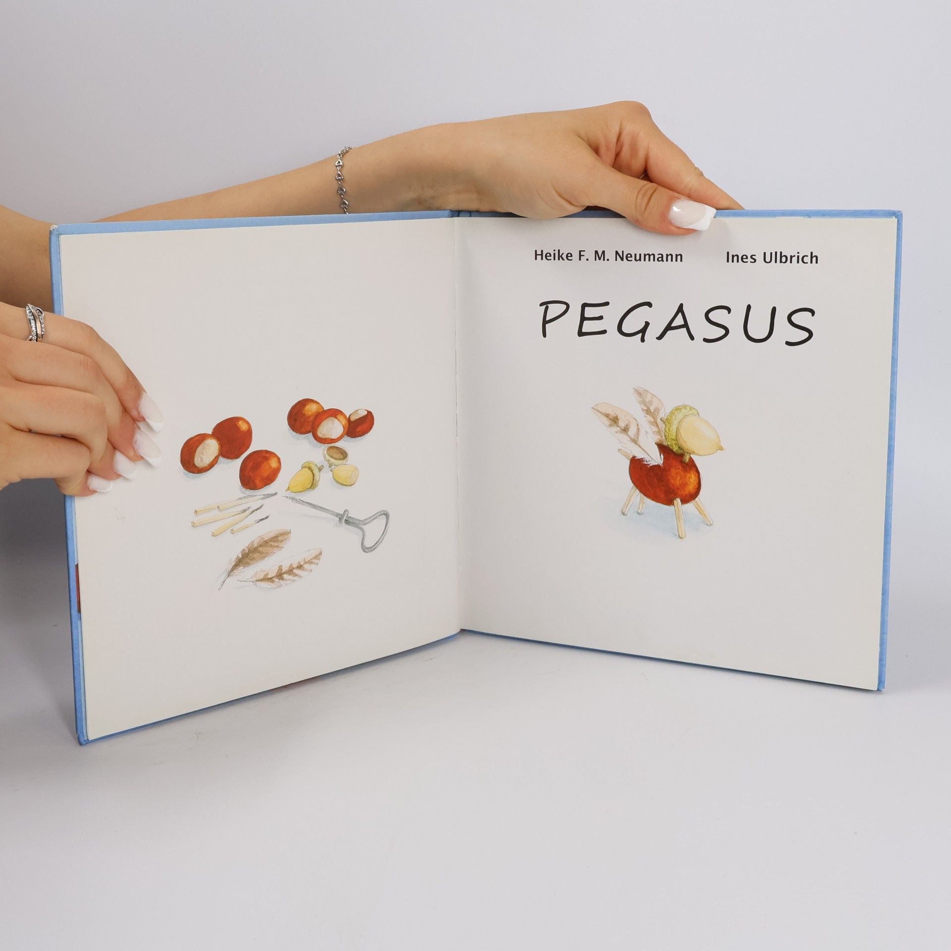 Heike Neumann Pegasus