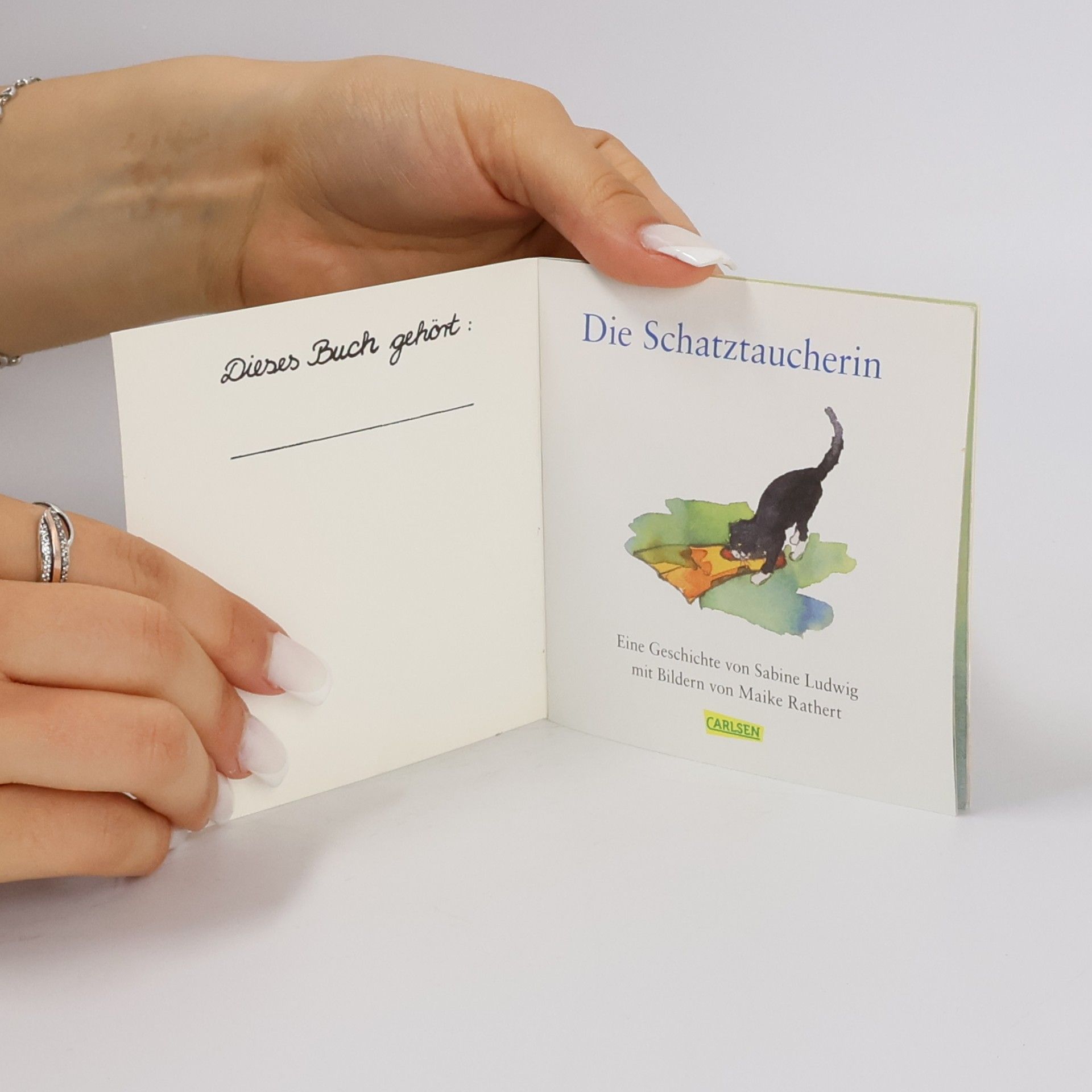 Autorenkollektiv Die Schatztaucherin