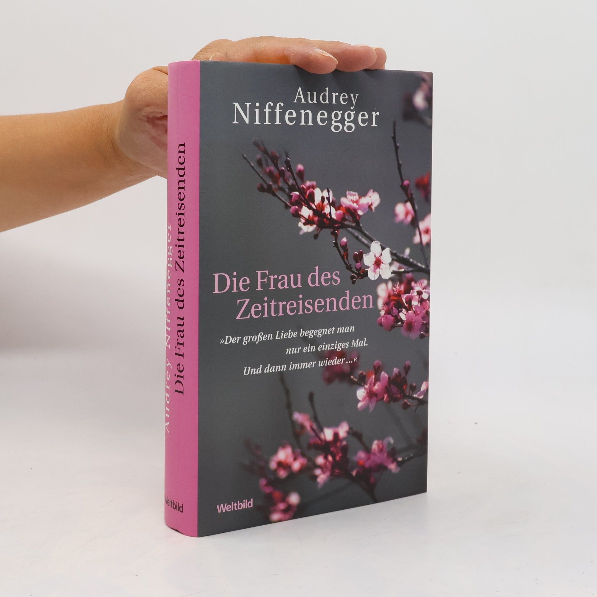 Audrey Niffenegger Die Frau des Zeitreisenden