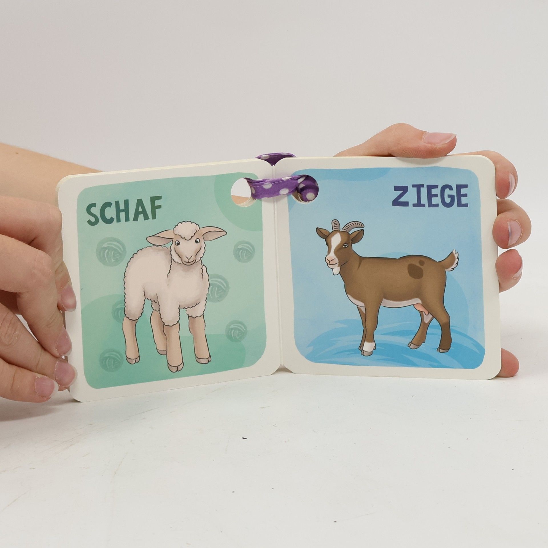 Auteurscollectief Trötsch Buggy-Buch Erste Tiere. Entdeckerbuch Beschäftigungsbuch Spielbuch Bilderbuch