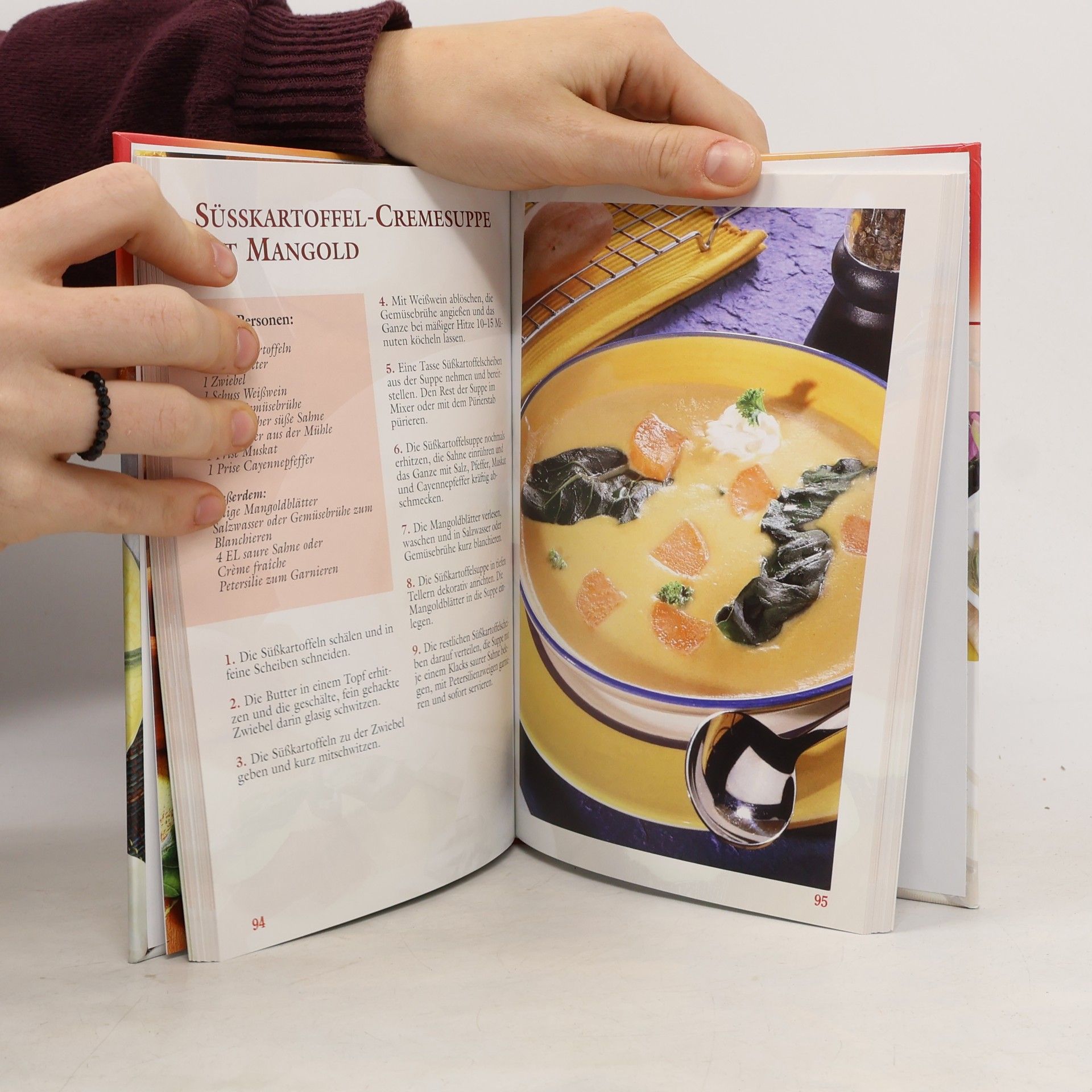 100 Rezepte Suppen