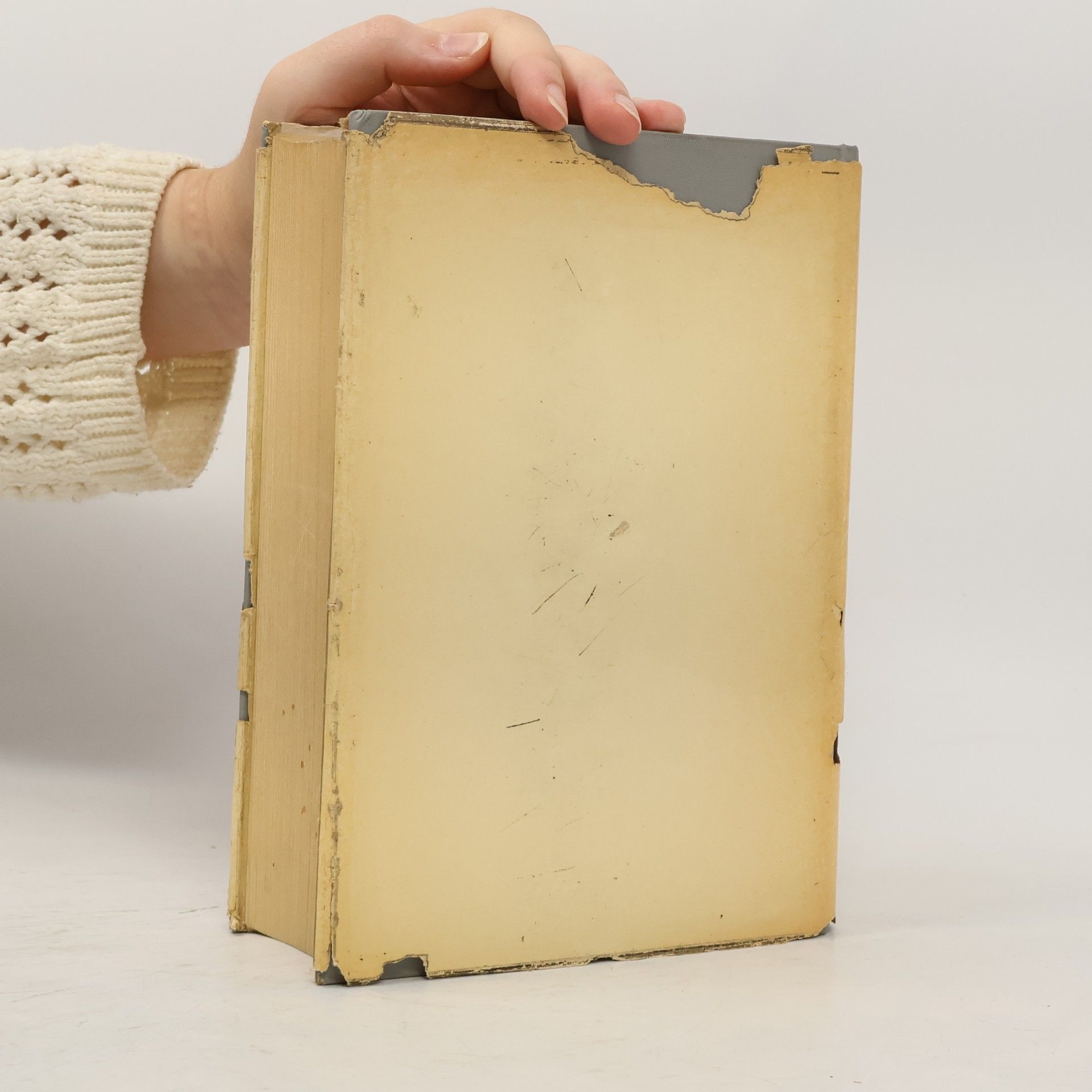 Karl Rothemann Das große Rezeptbuch der Haut- und Körperpflegemittel