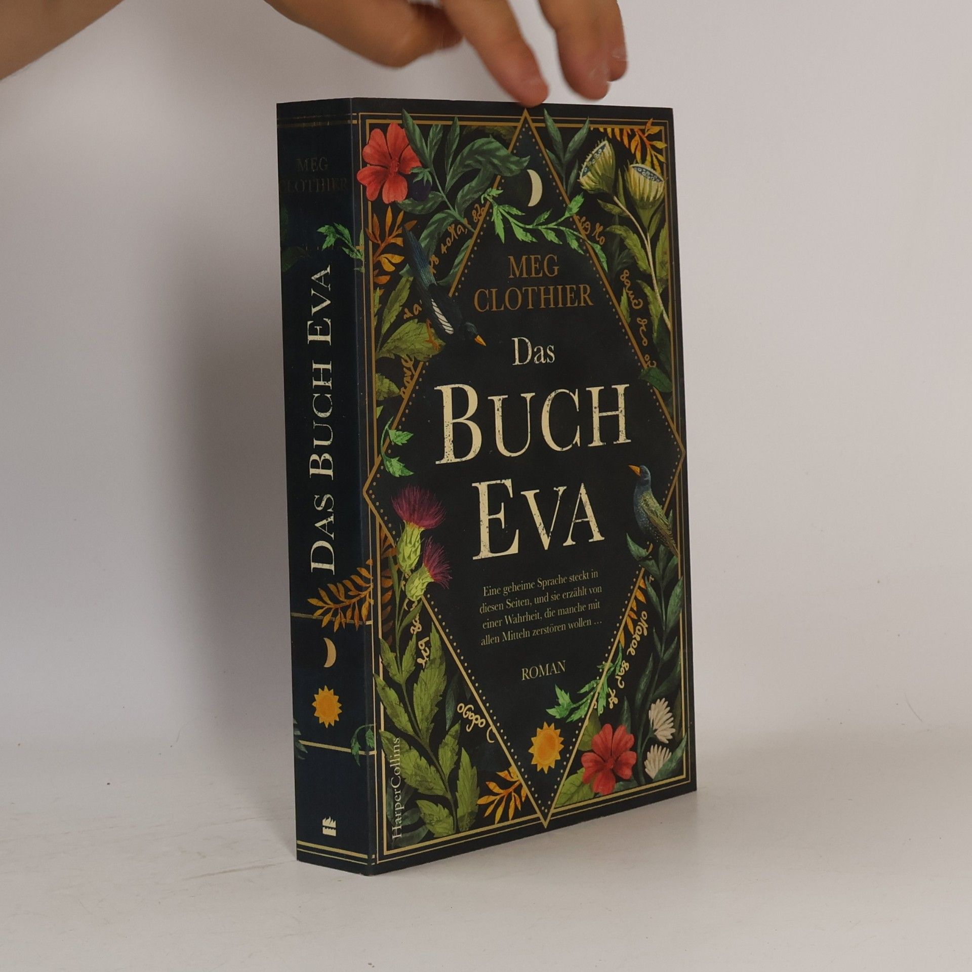 Meg Clothier Das Buch Eva