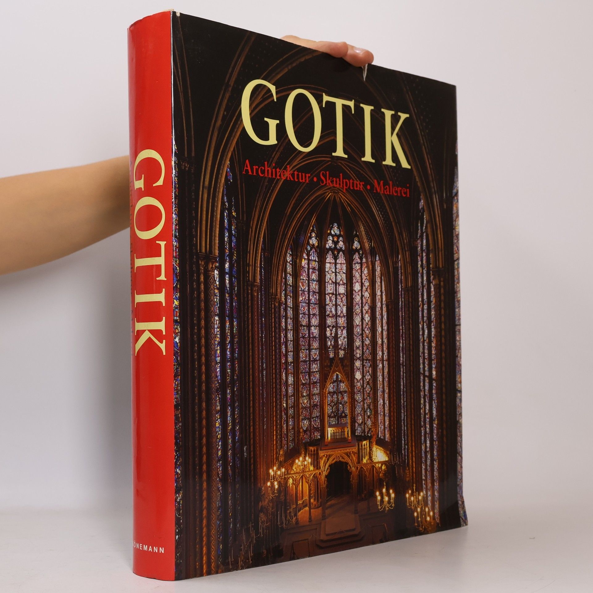 Die Kunst der Gotik