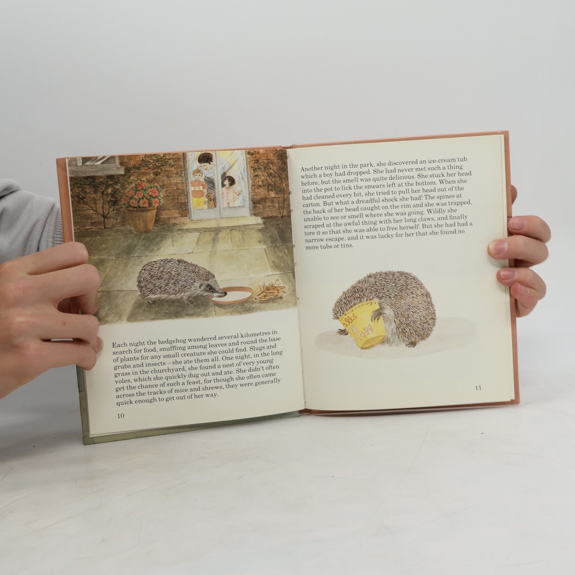 E Goss Animals in Towns: The Hedgehog