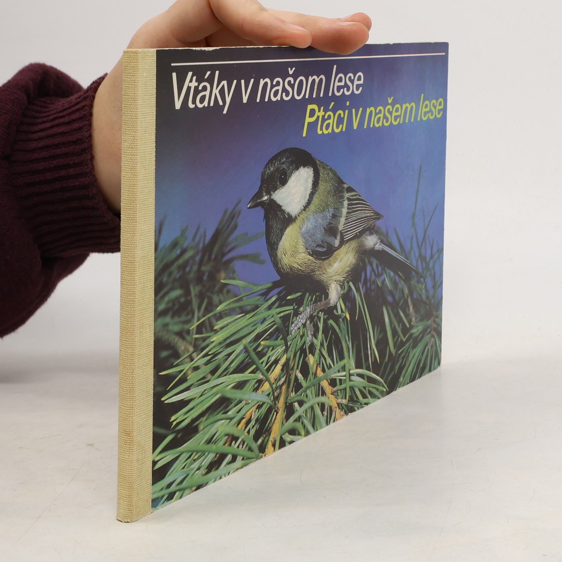 kolektiv Vtáky v našom lese. Ptáci v našem lese