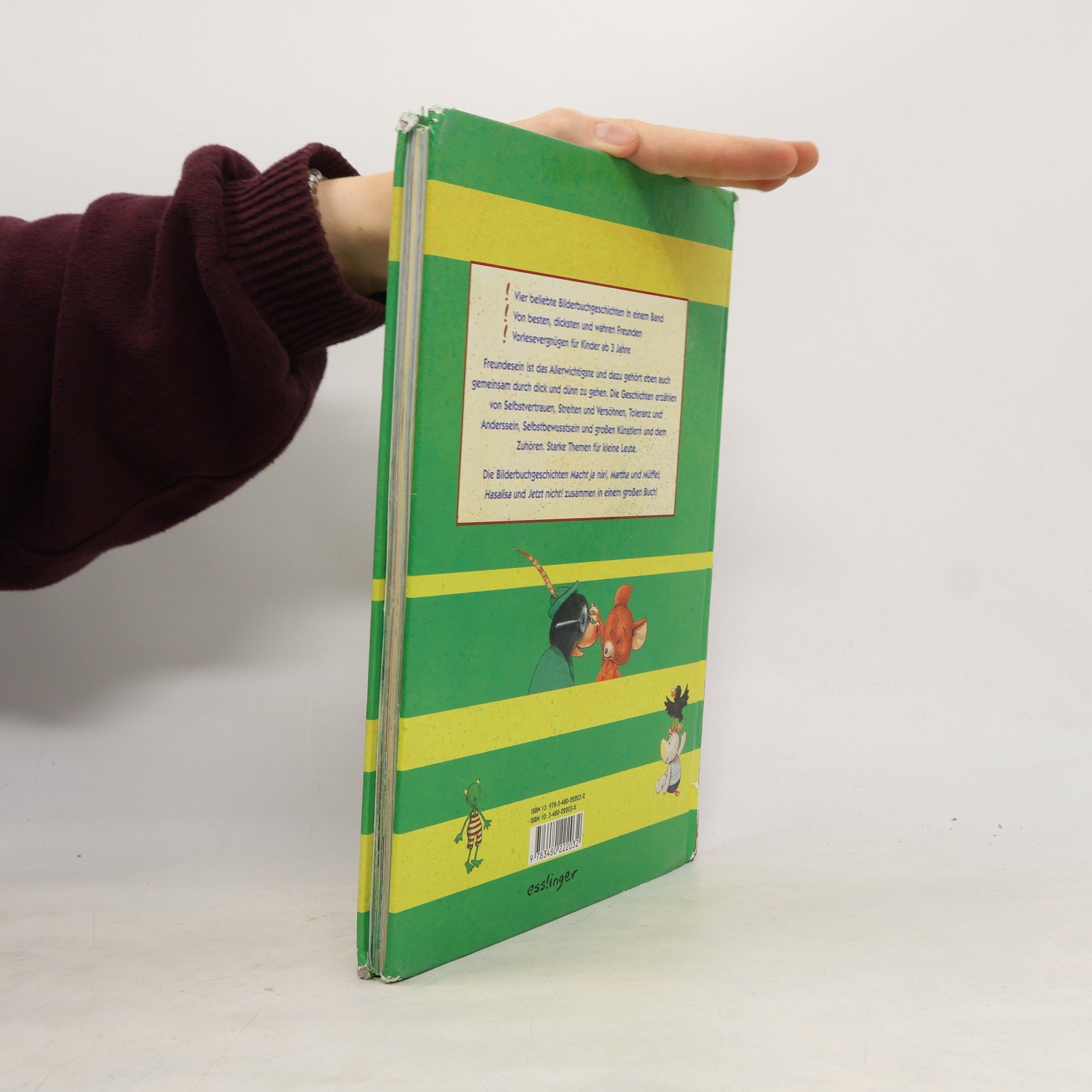 Das große Buch vom Freundesein