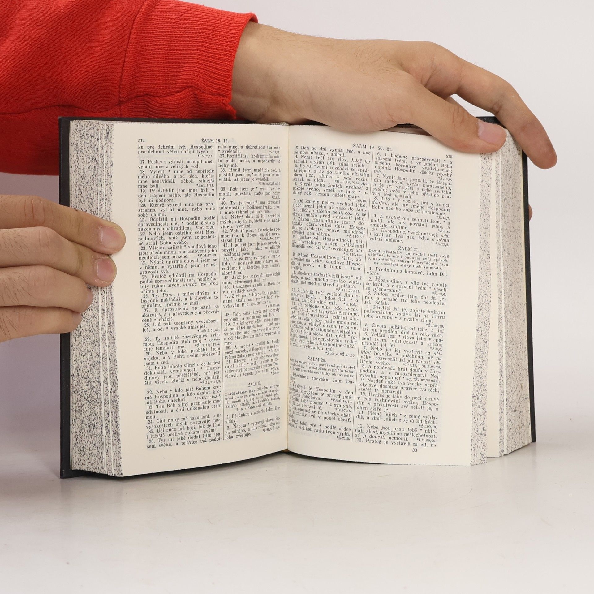 kolektiv Biblí svatá aneb všecka svatá písma starého i nového zákona