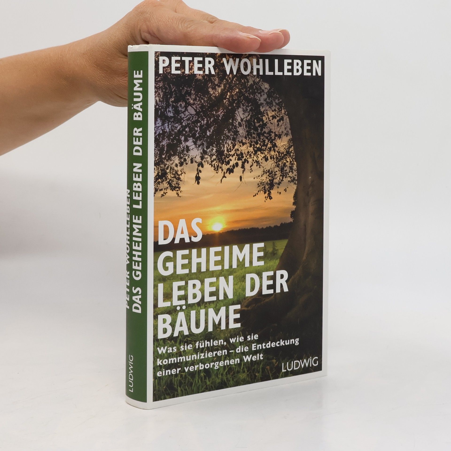 Das geheime Leben der Bäume