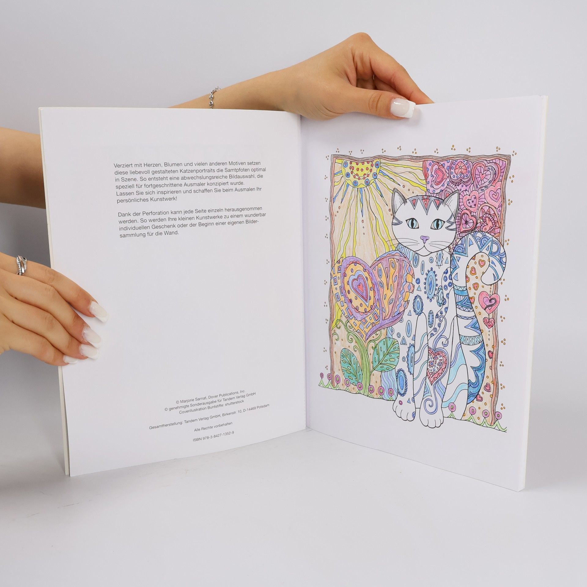 Marjorie Sarnat Malen und entspannen: Katzen Malbuch