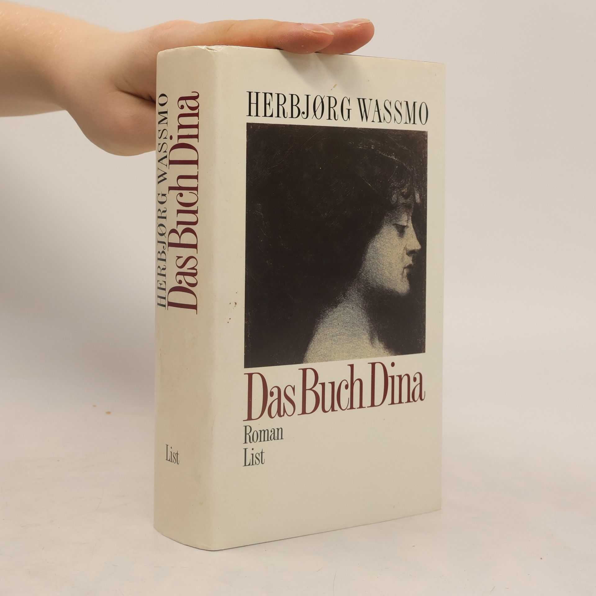 Herbjørg Wassmo Das Buch Dina