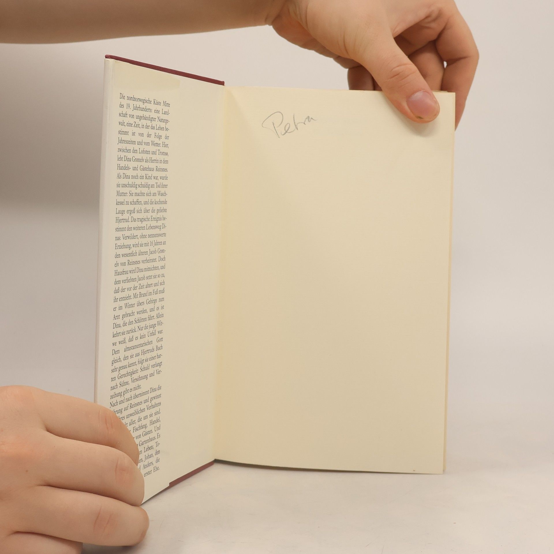 Herbjørg Wassmo Das Buch Dina