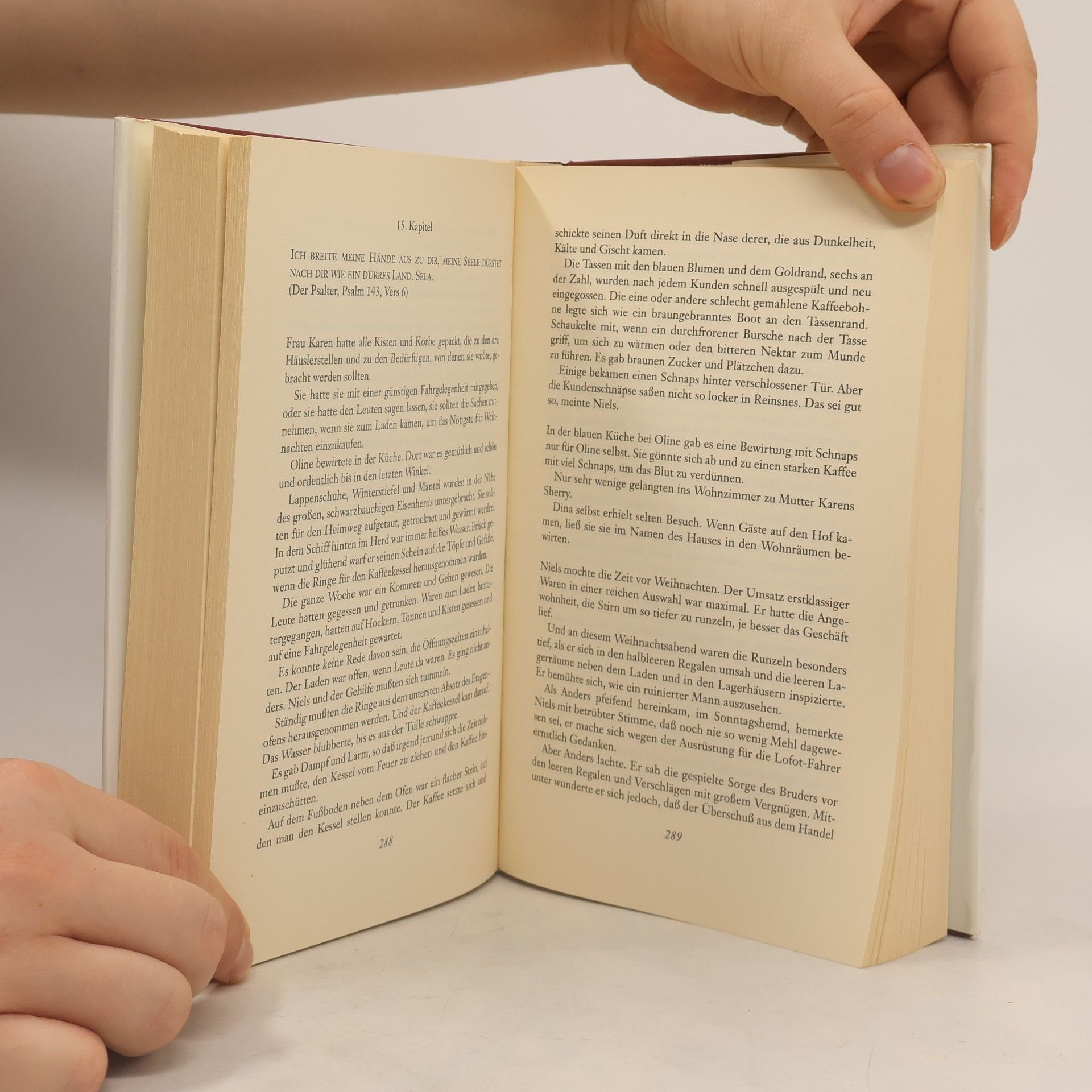 Herbjørg Wassmo Das Buch Dina