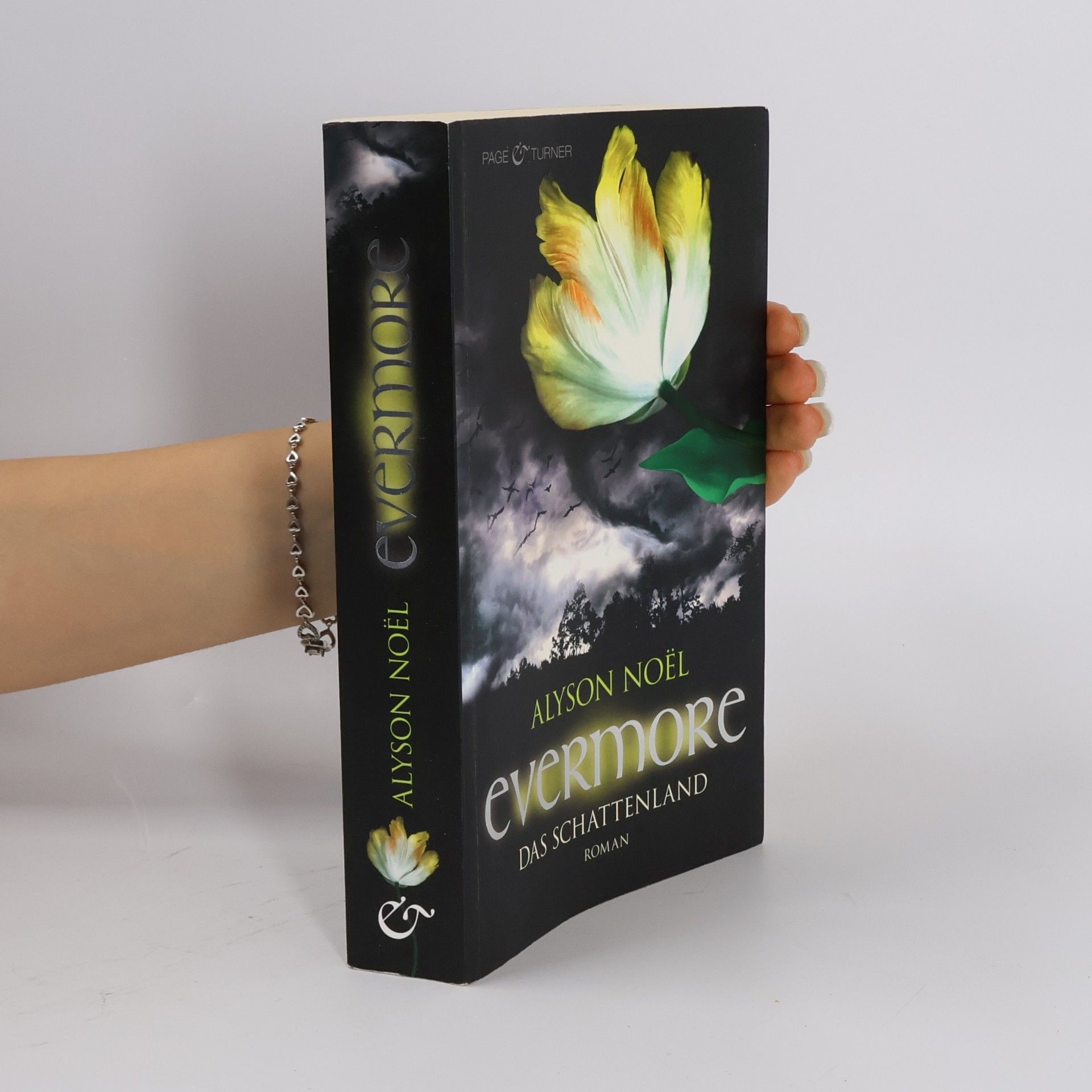 Alyson Noël Evermore: Das Schattenland