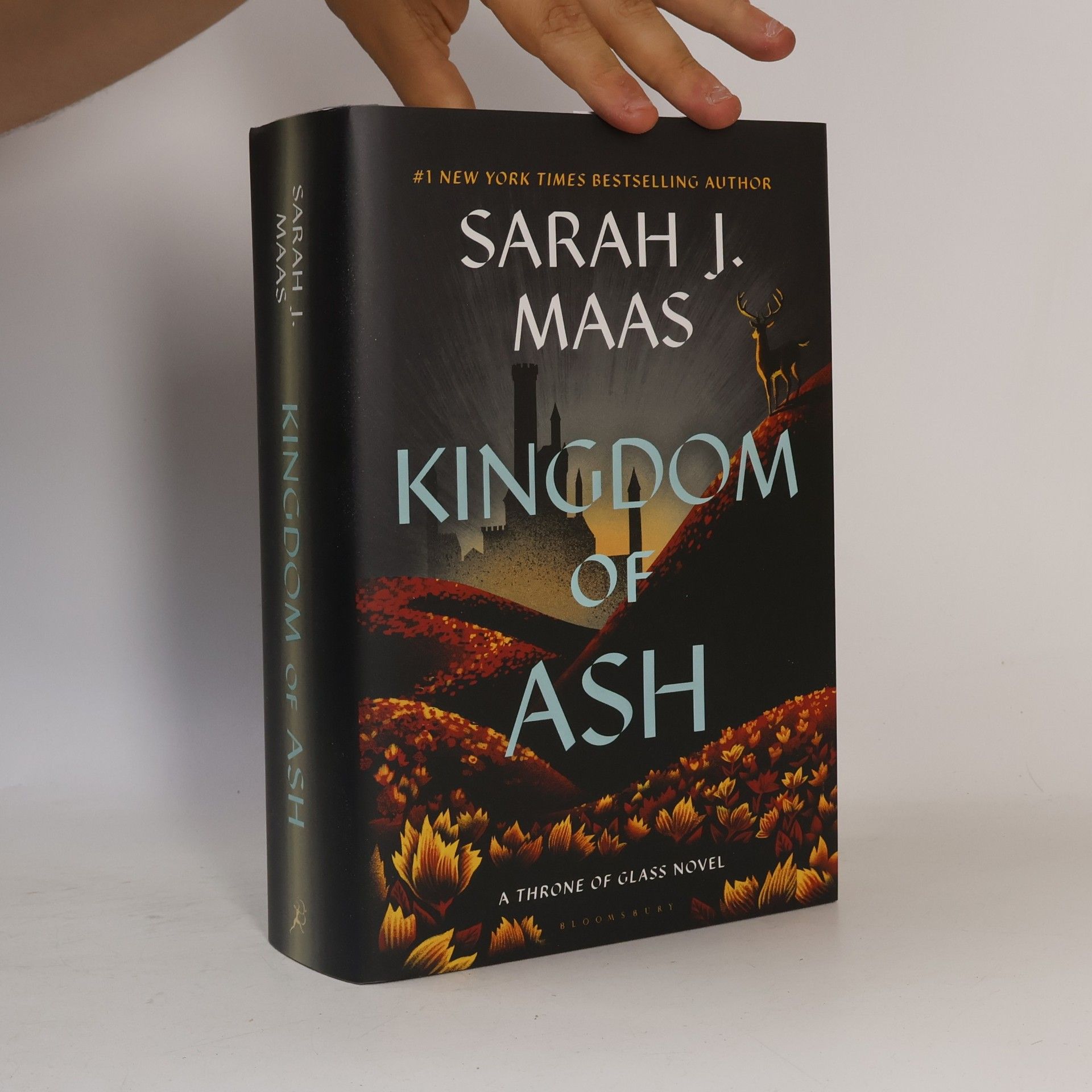 Sarah J. Maas Kingdom of Ash
