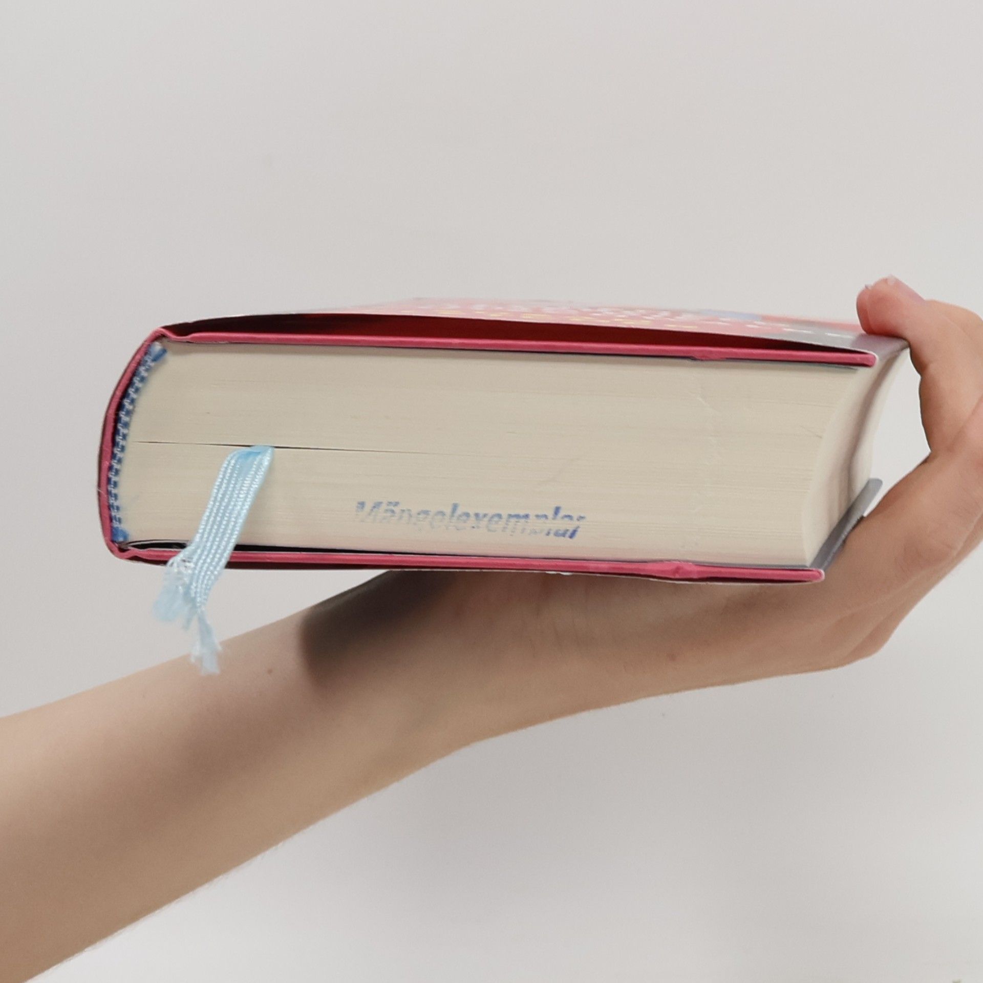 Susan Fletcher Florence Butterfield und die Nachtschwalbe