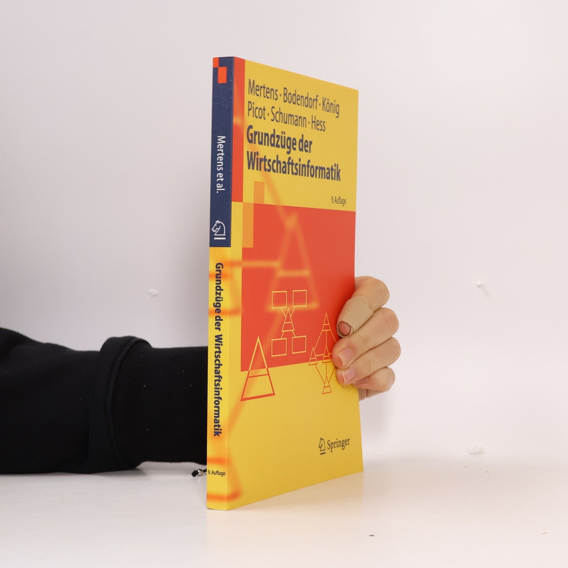 Peter Mertens Grundzüge der Wirtschaftsinformatik