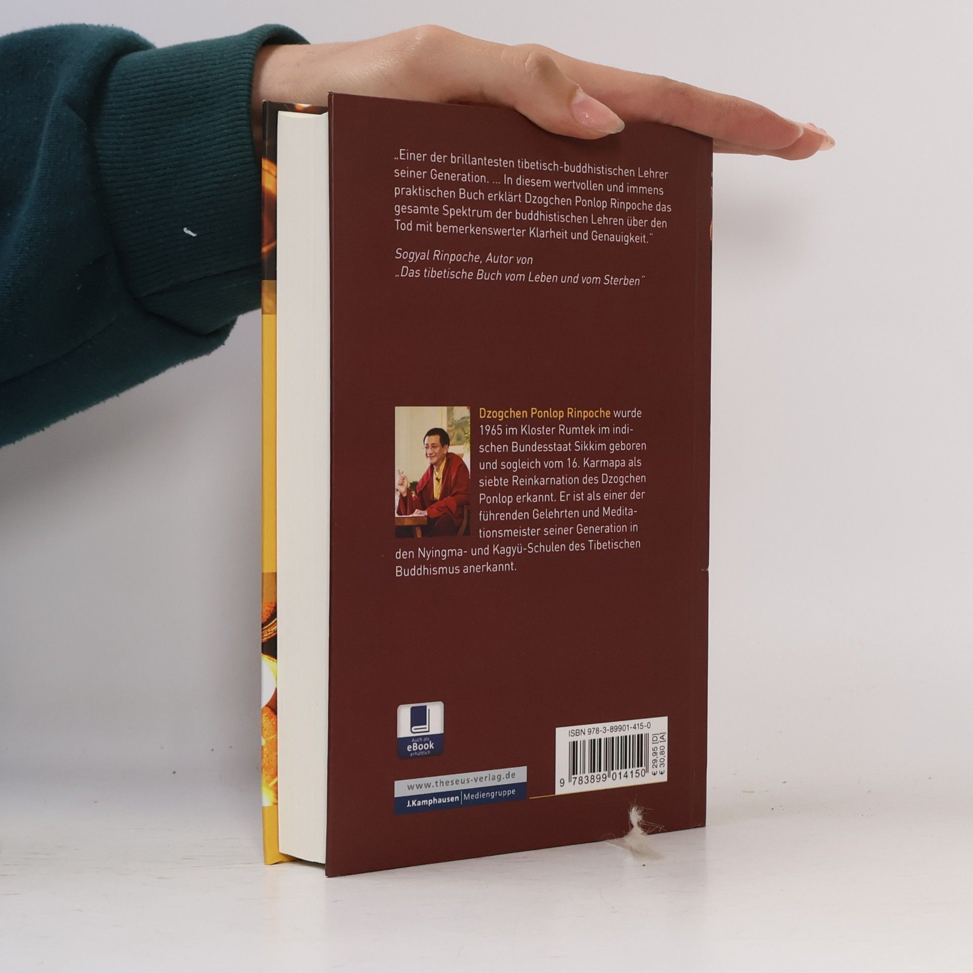 Dzogchen Ponlop Rinpoche Der Geist überwindet den Tod