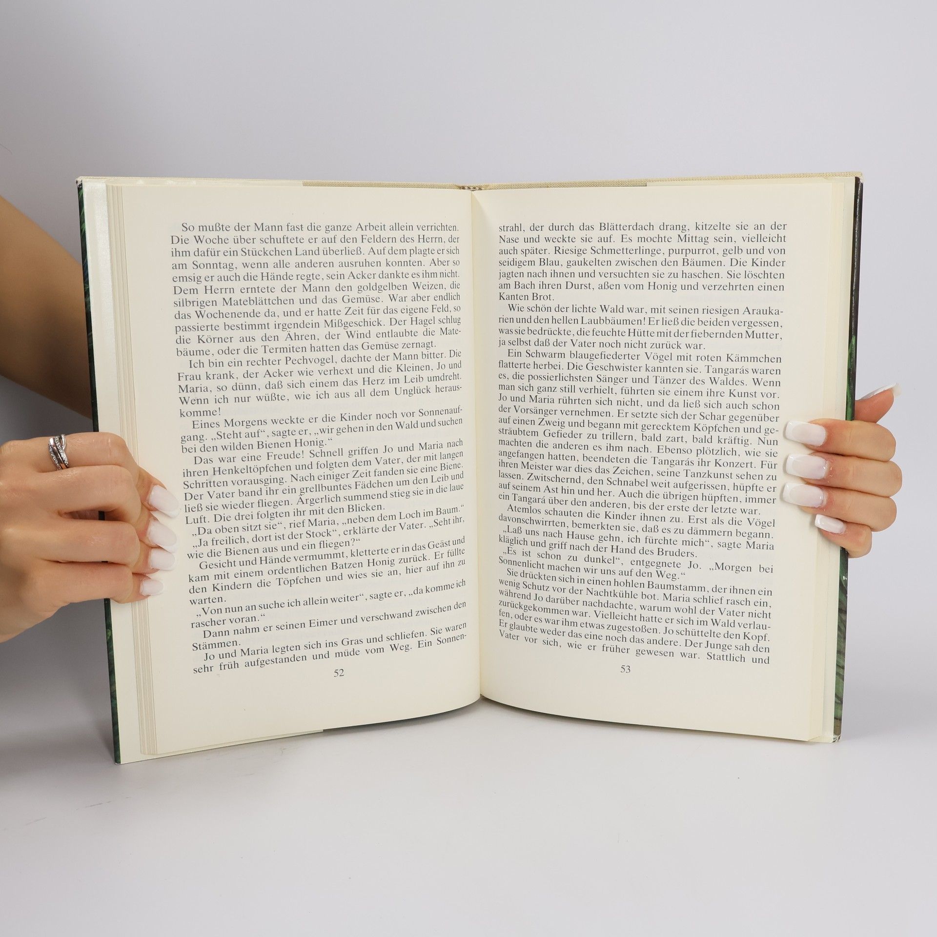 Lene Klein Das Fest im Urwald