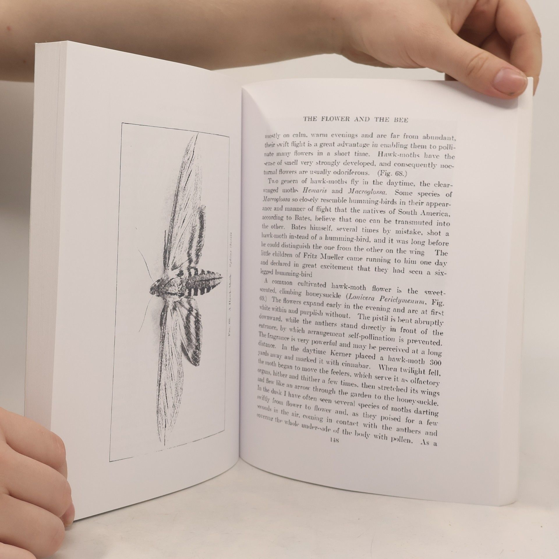 John Harvey Lovell The flower and the bee; plant life and pollination