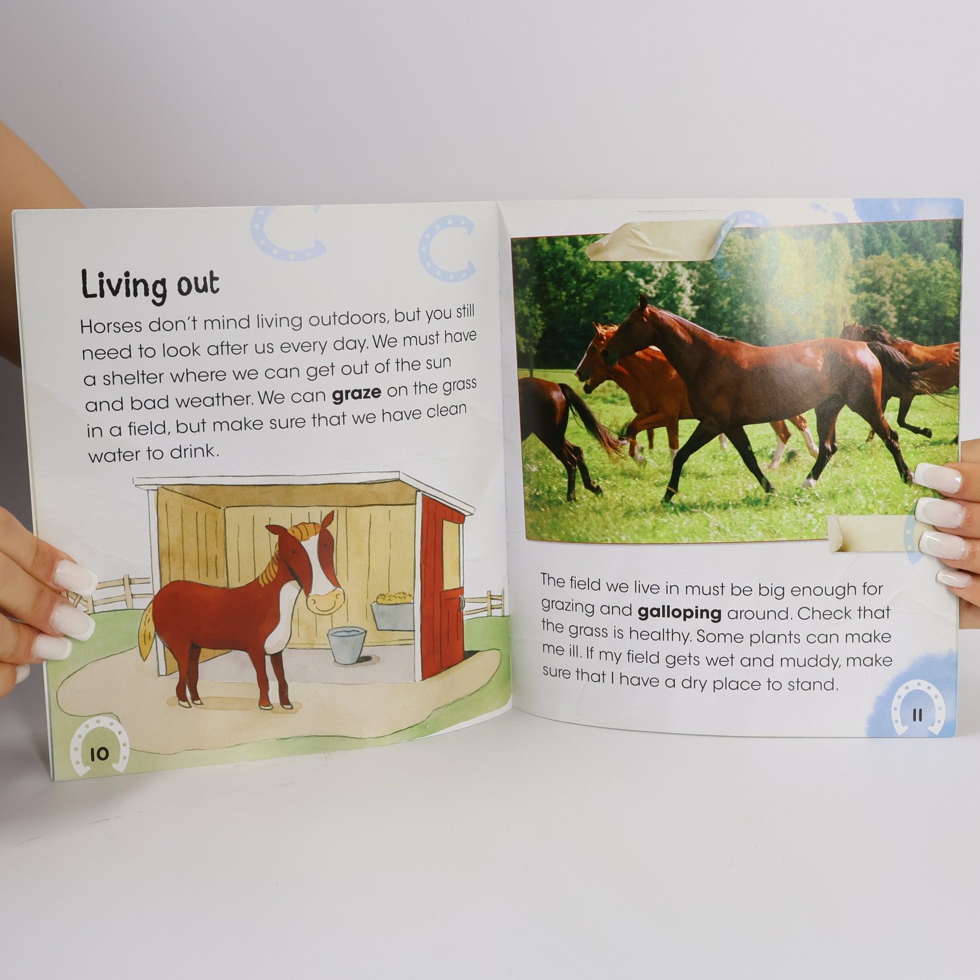 Anita Ganeri Pets' Guides: Winnie's Guide to Caring for Your Horse or Pony