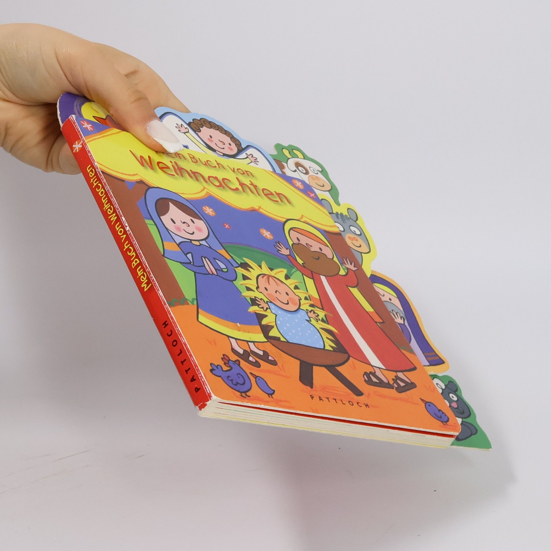 Lori C. Froeb Mein Buch von Weihnachten