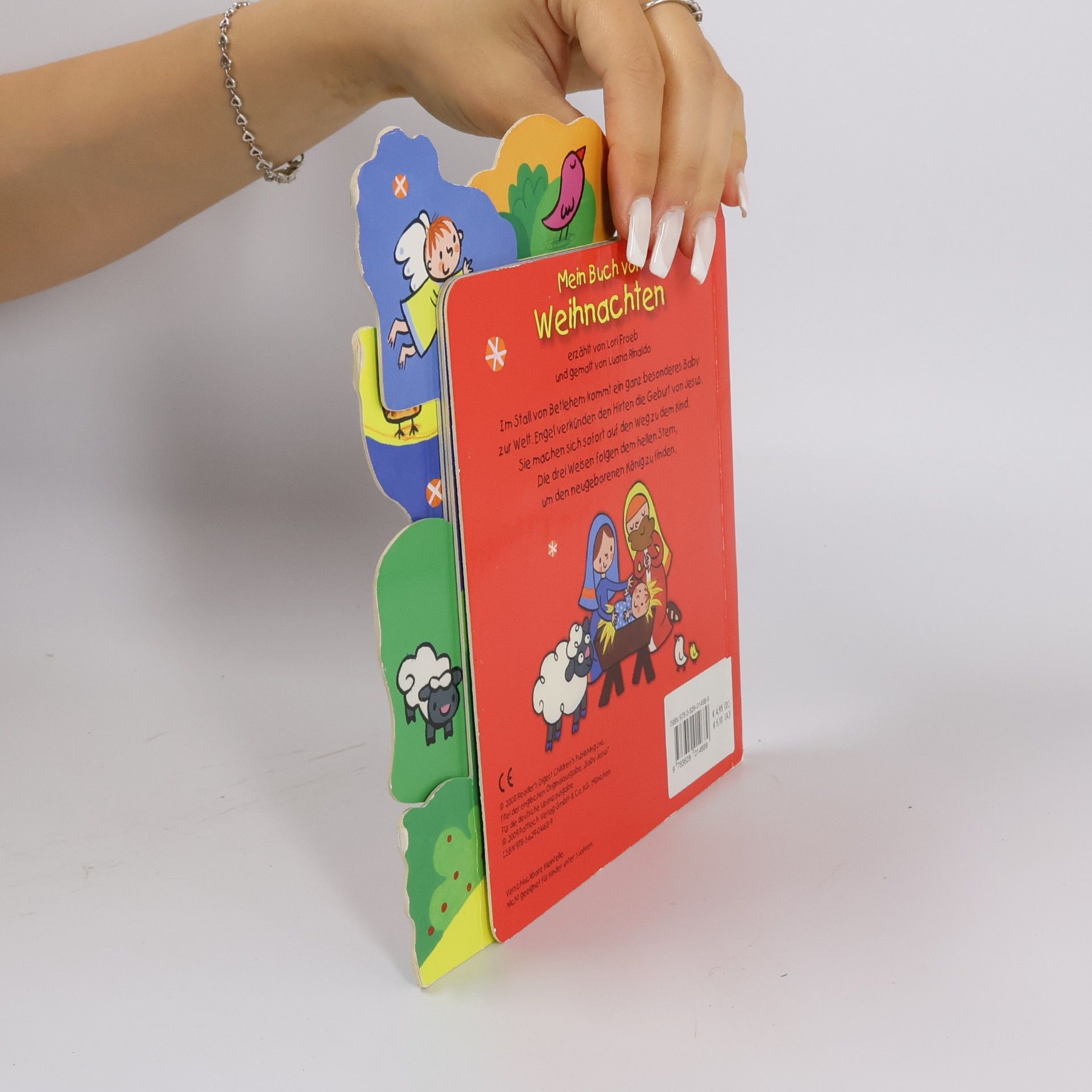 Lori C. Froeb Mein Buch von Weihnachten