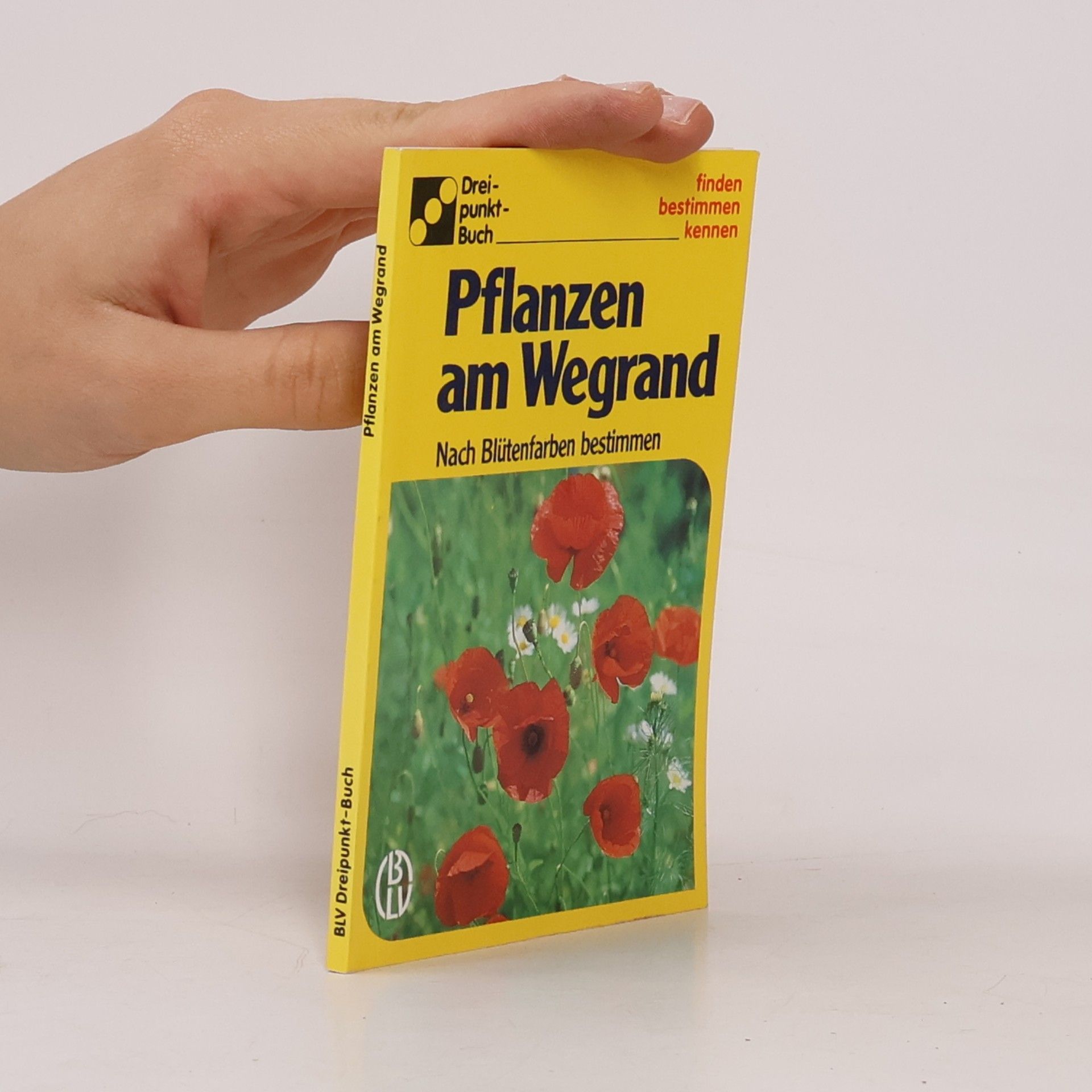 kolektiv Pflanzen am Wegrand