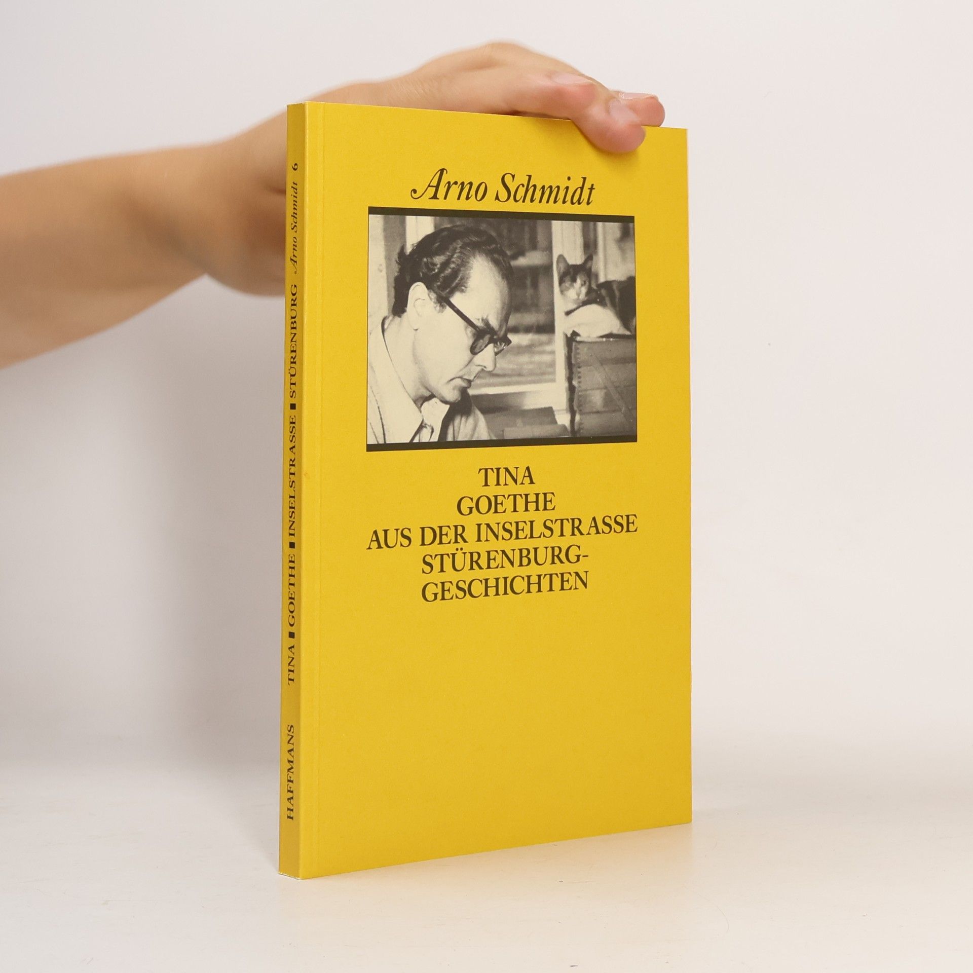 Arno Schmidt Tina Goethe aus der inselstrasse Stürenburg geschichten