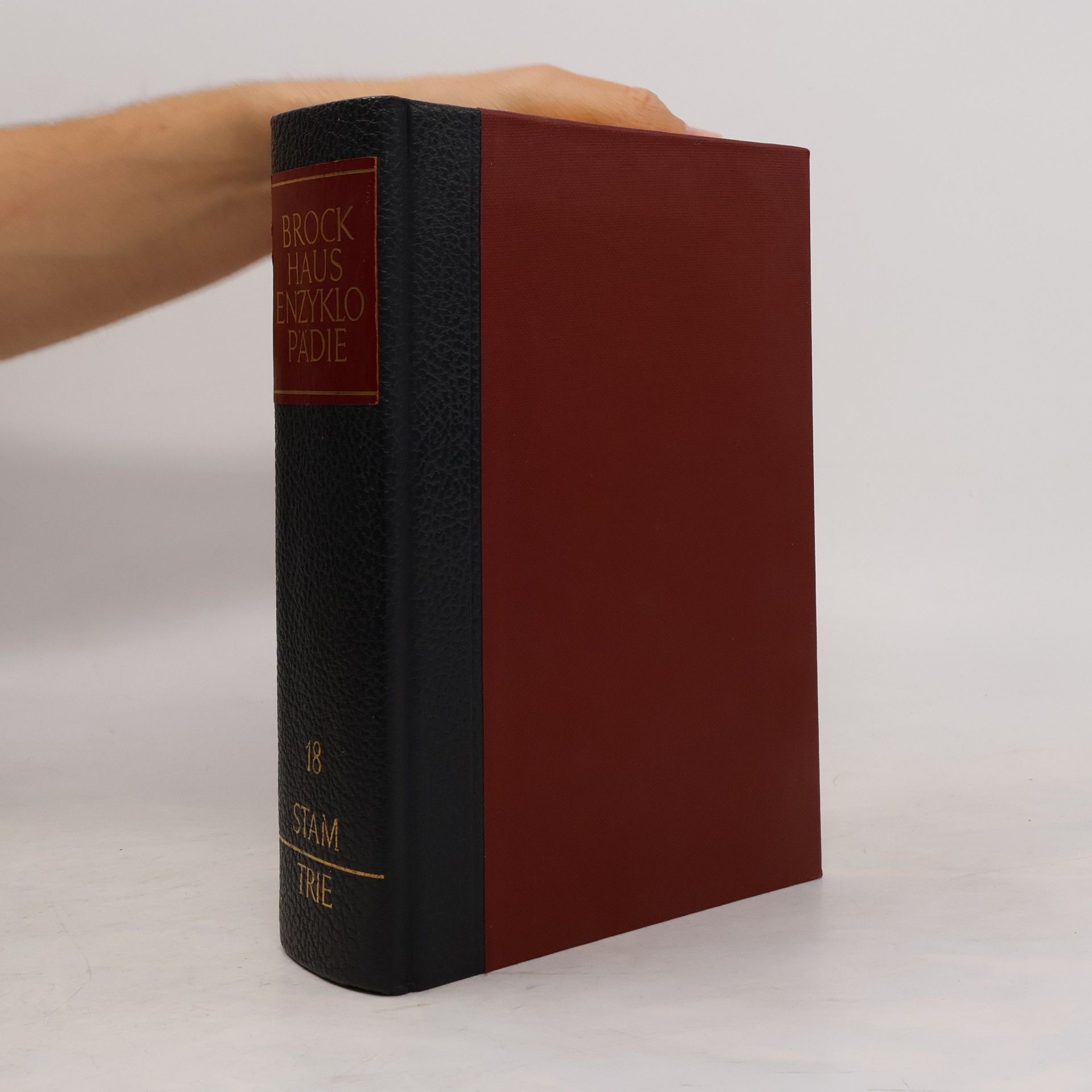 Autores varios Brockhaus Enzyklopädie 18. Stam-Trie