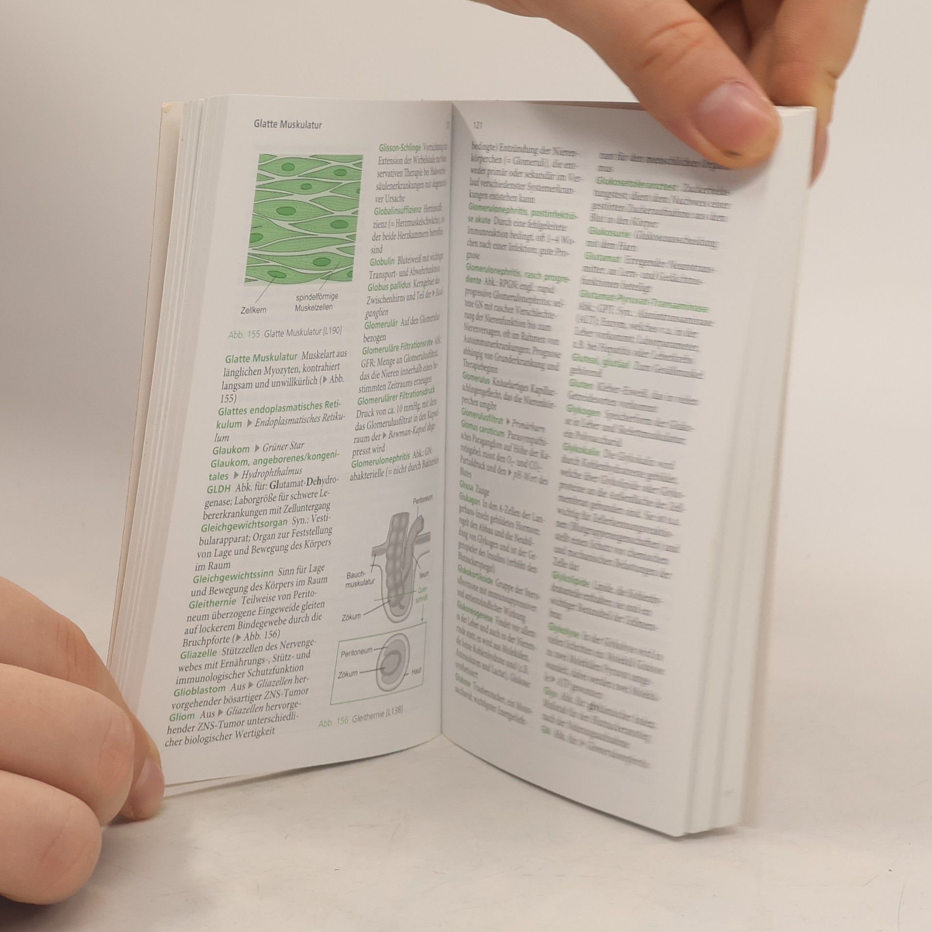 Anna-Marie Salaja Medizinische Fachwörter von A - Z