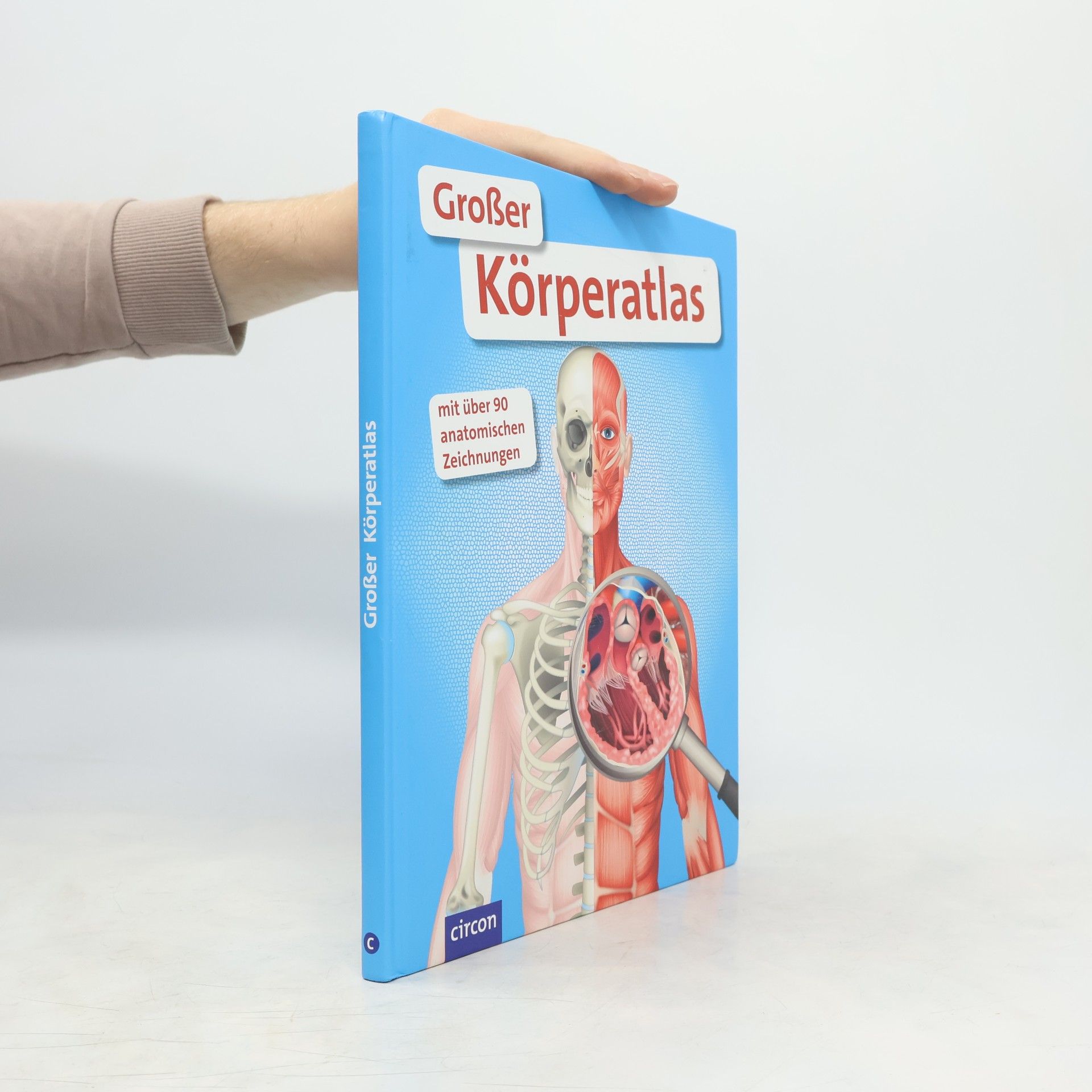 Stefanie Zysk Großer Körperatlas