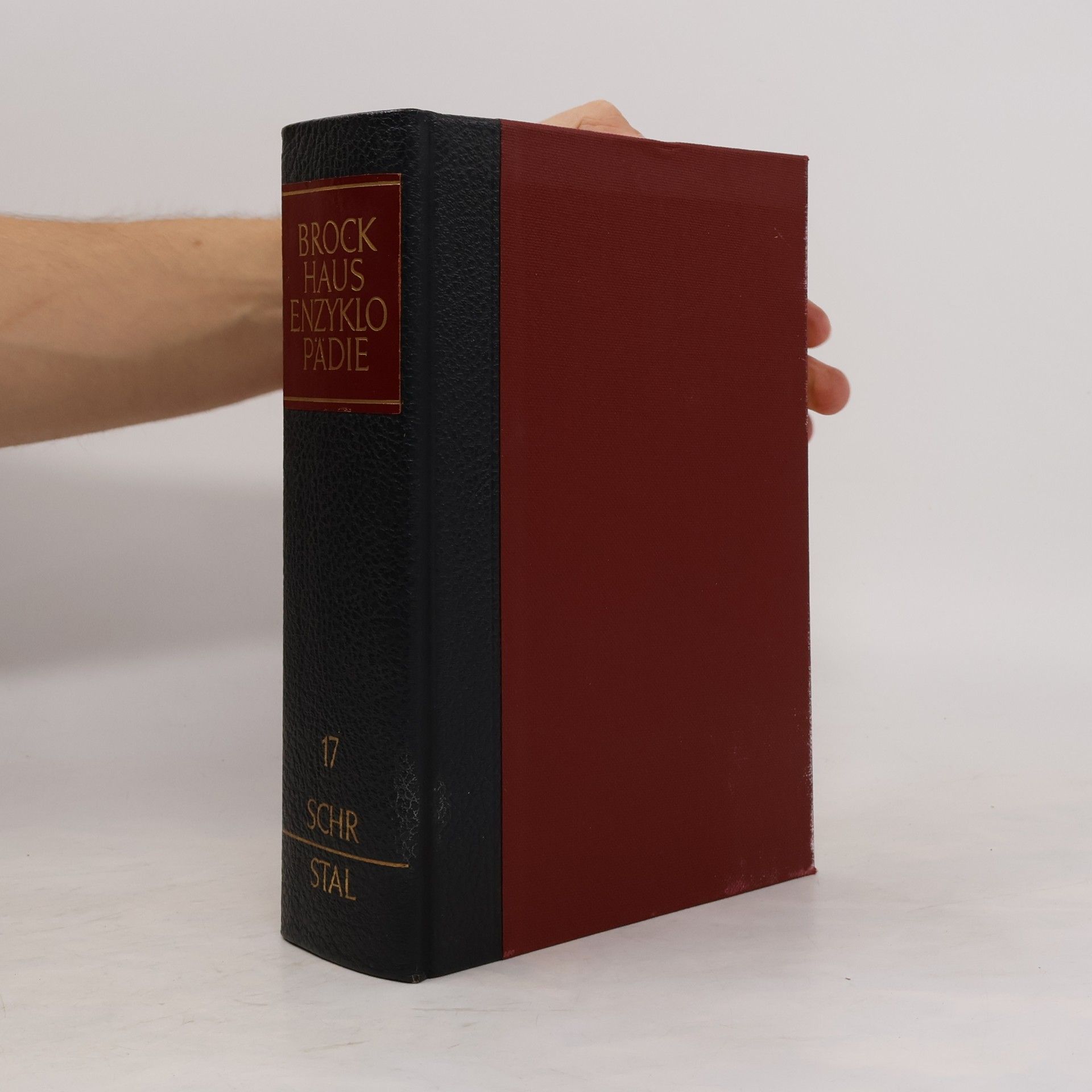 Autorenkollektiv Brockhaus Enzyklopädie 17. Pes-Rac