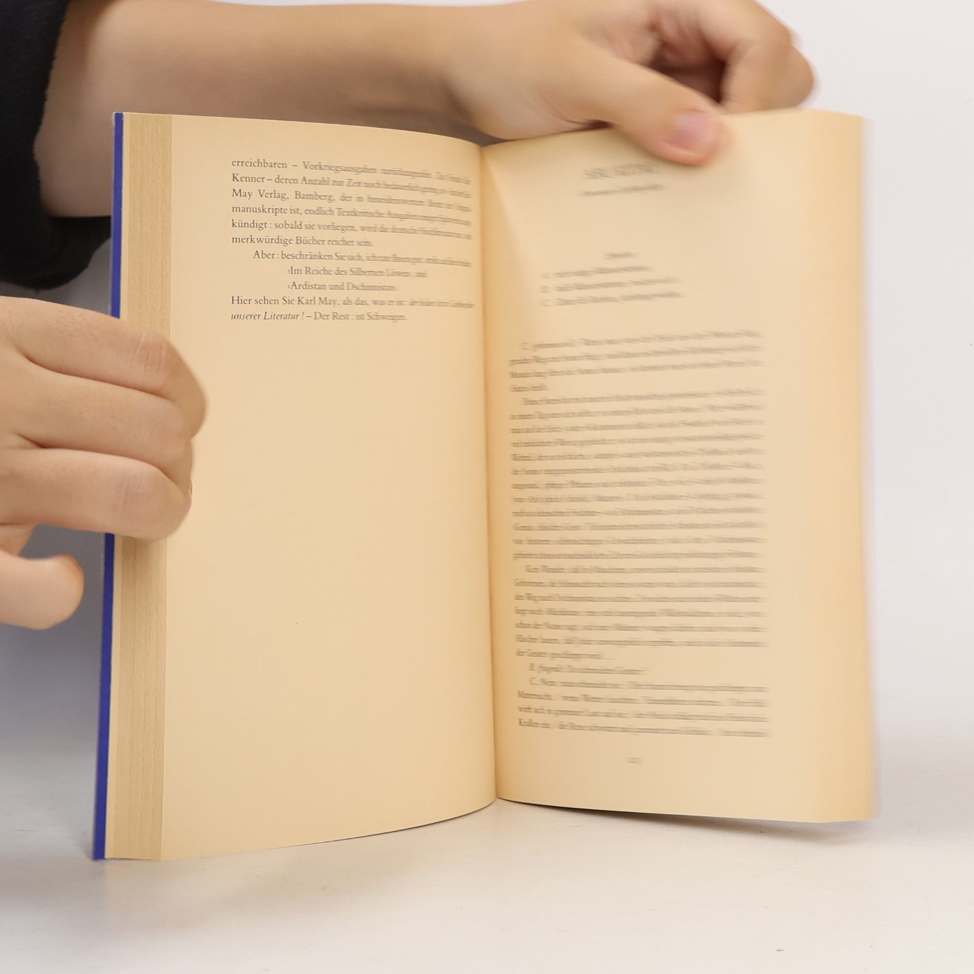 Arno Schmidt Das essayistische Werk zur deutschen Literatur in 4 Bänden