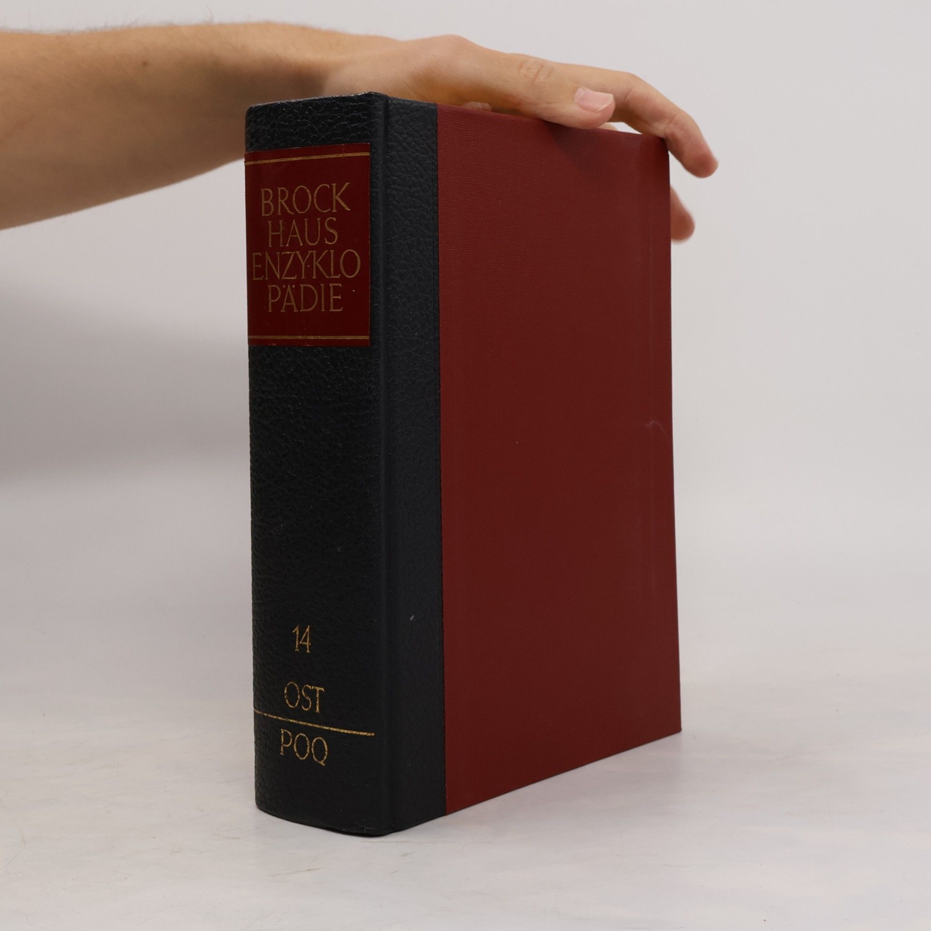 Autorenkollektiv Brockhaus Enzyklopädie 14. Mag-Mod