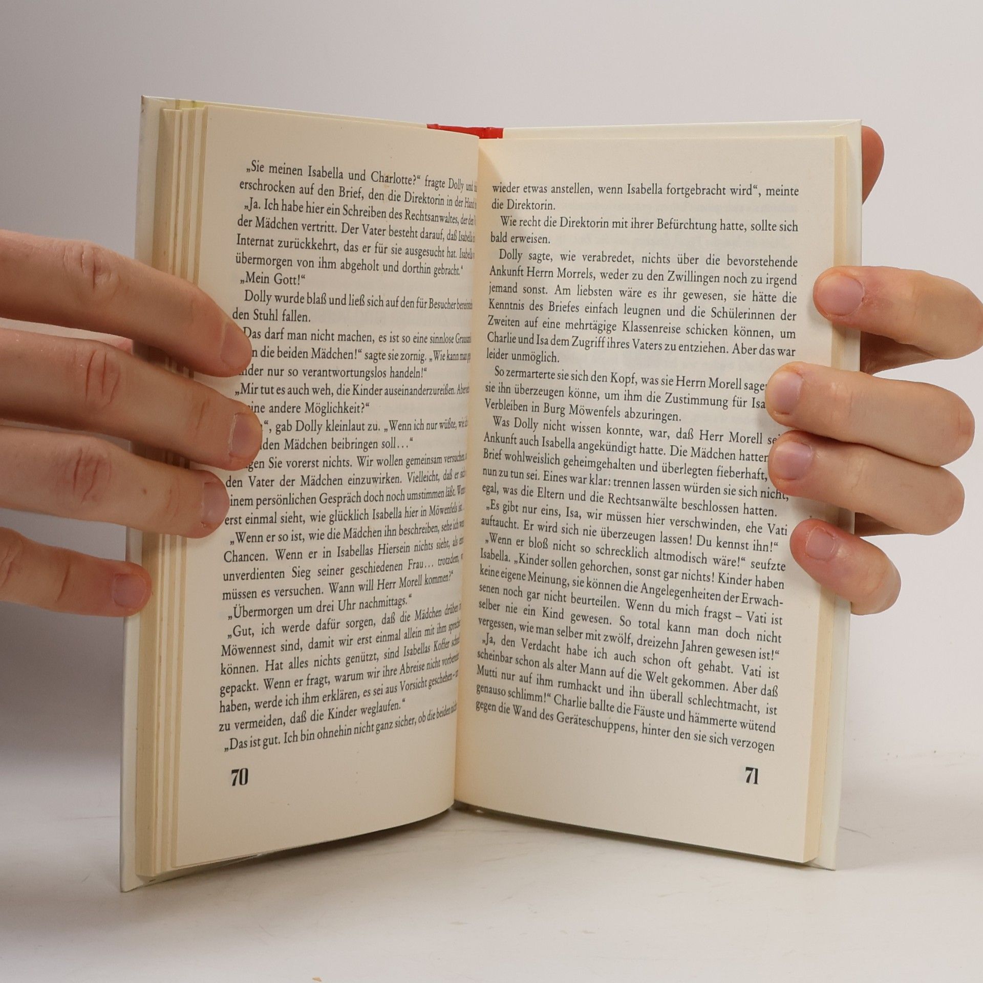 Enid Blyton Dolly 12. Die jüngste Burgmöwe