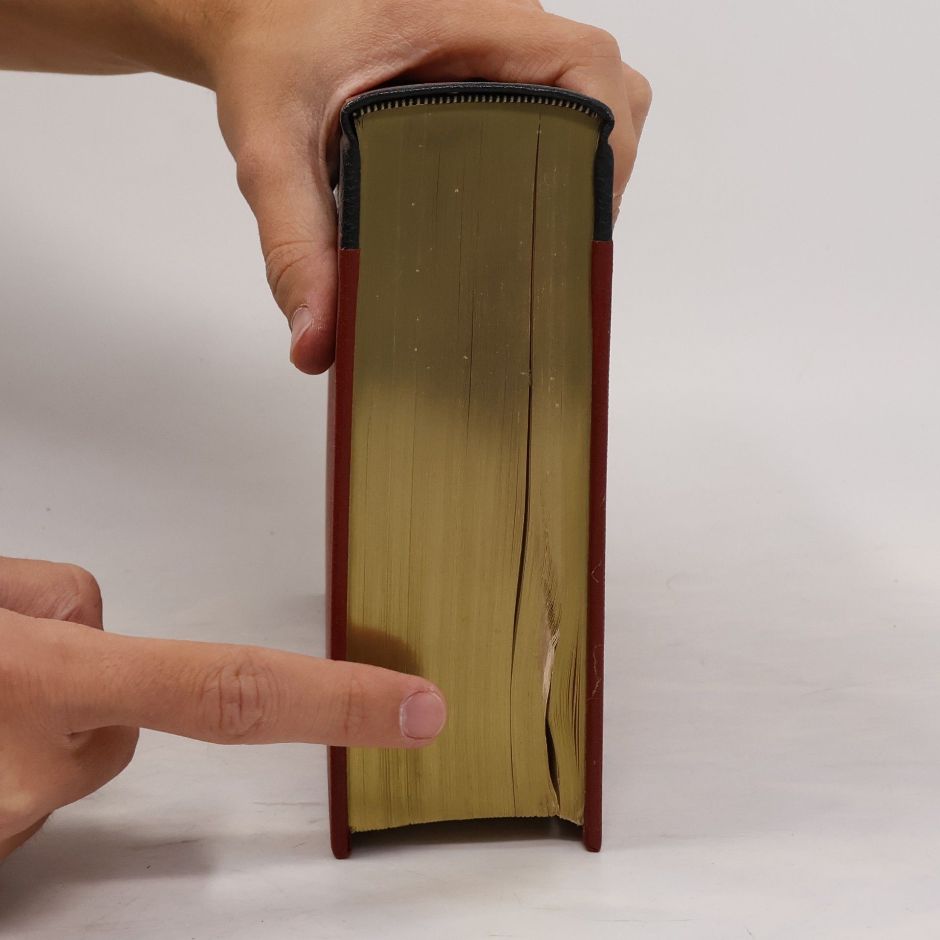 Autorenkollektiv Brockhaus Enzyklopädie 12. Mai-Mos