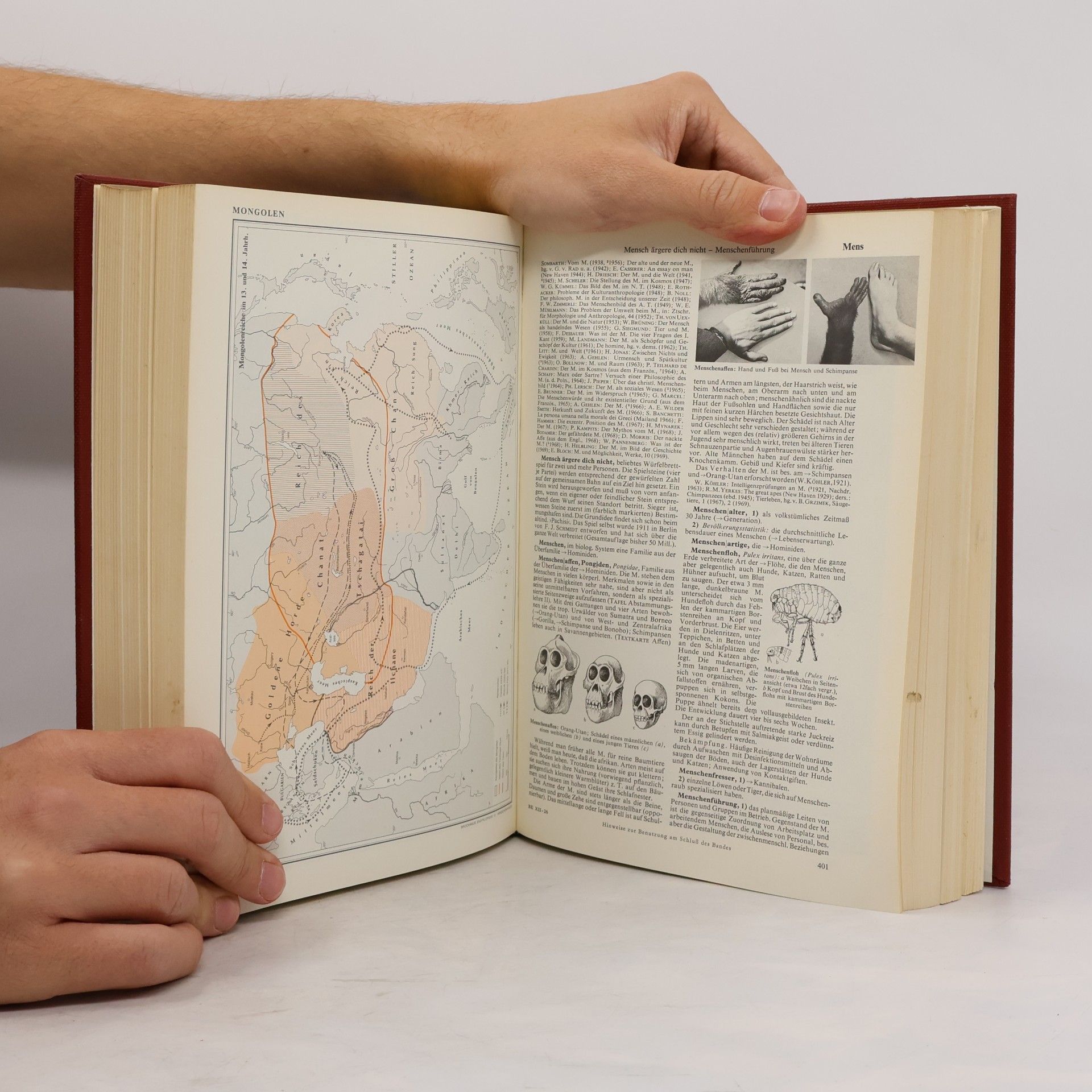 Autorenkollektiv Brockhaus Enzyklopädie 12. Mai-Mos