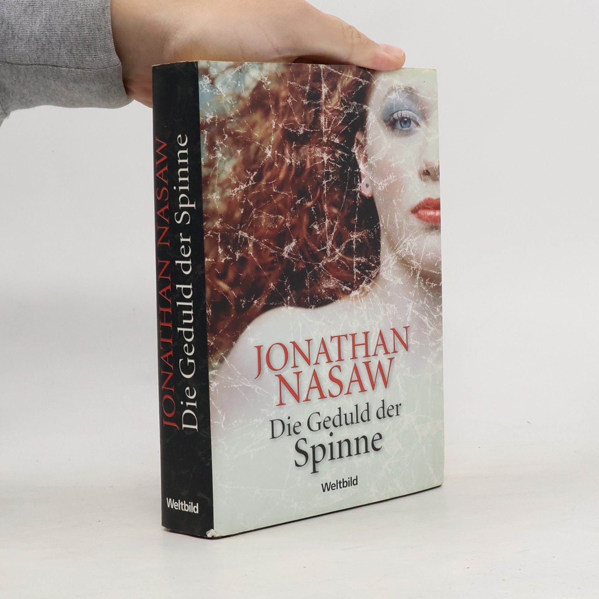 Die Geduld der Spinne