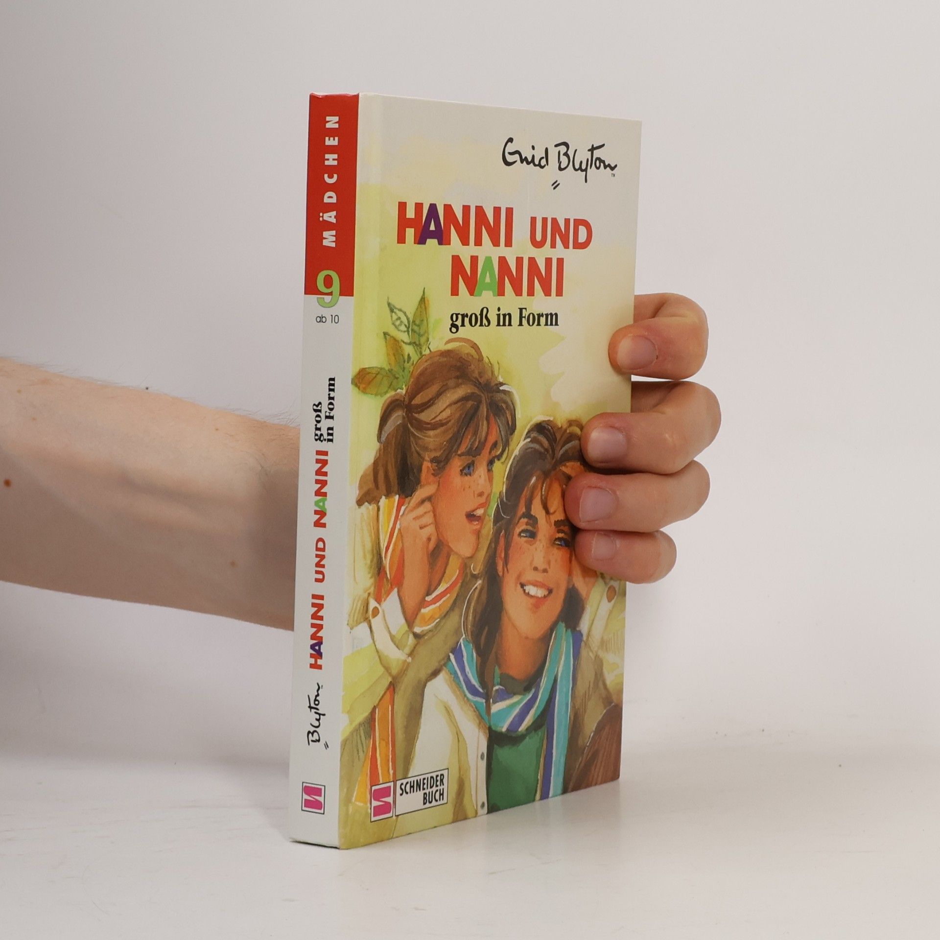 Enid Blyton Hanni und Nanni groß in Form
