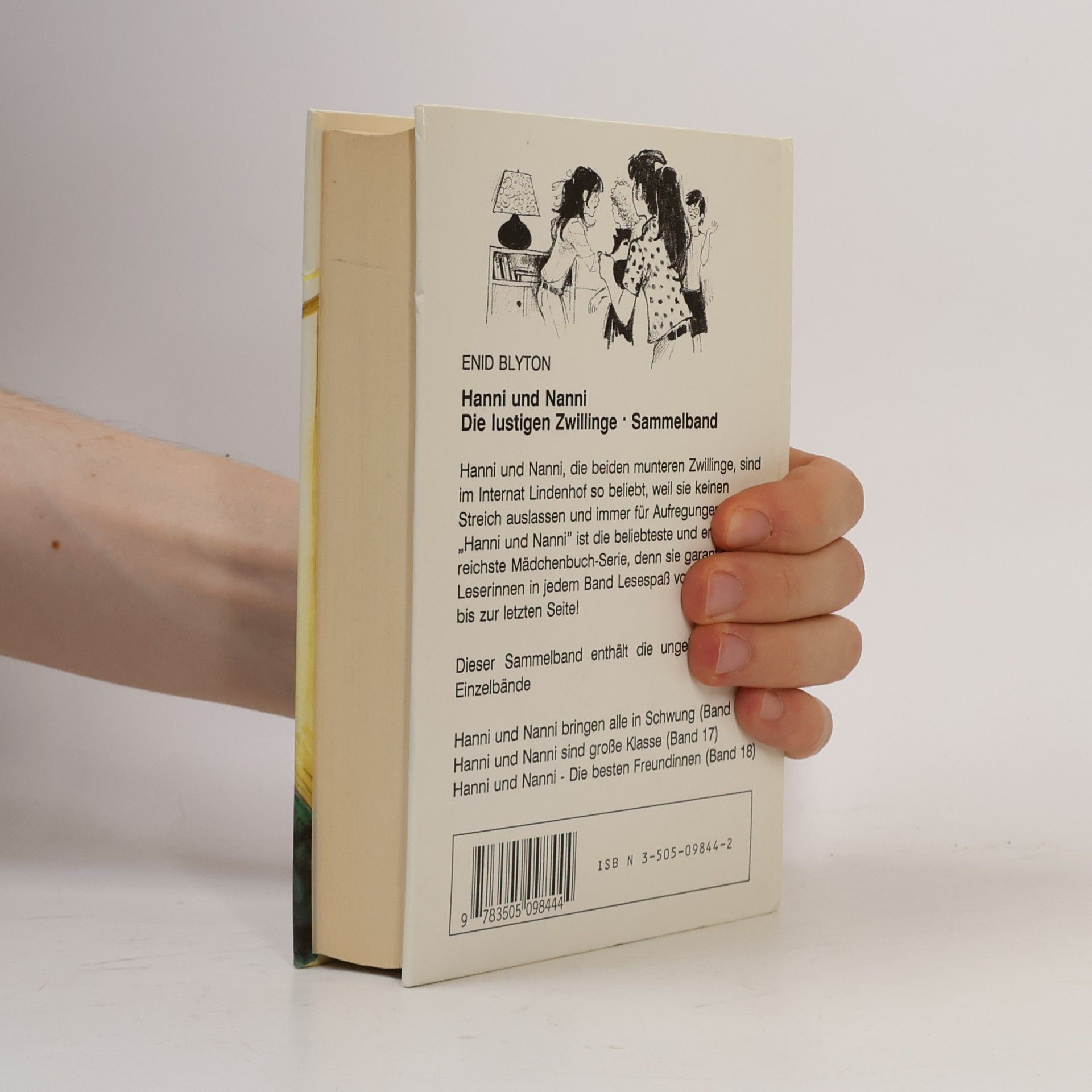 Enid Blyton Hanni und Nanni, die lustigen Zwillinge
