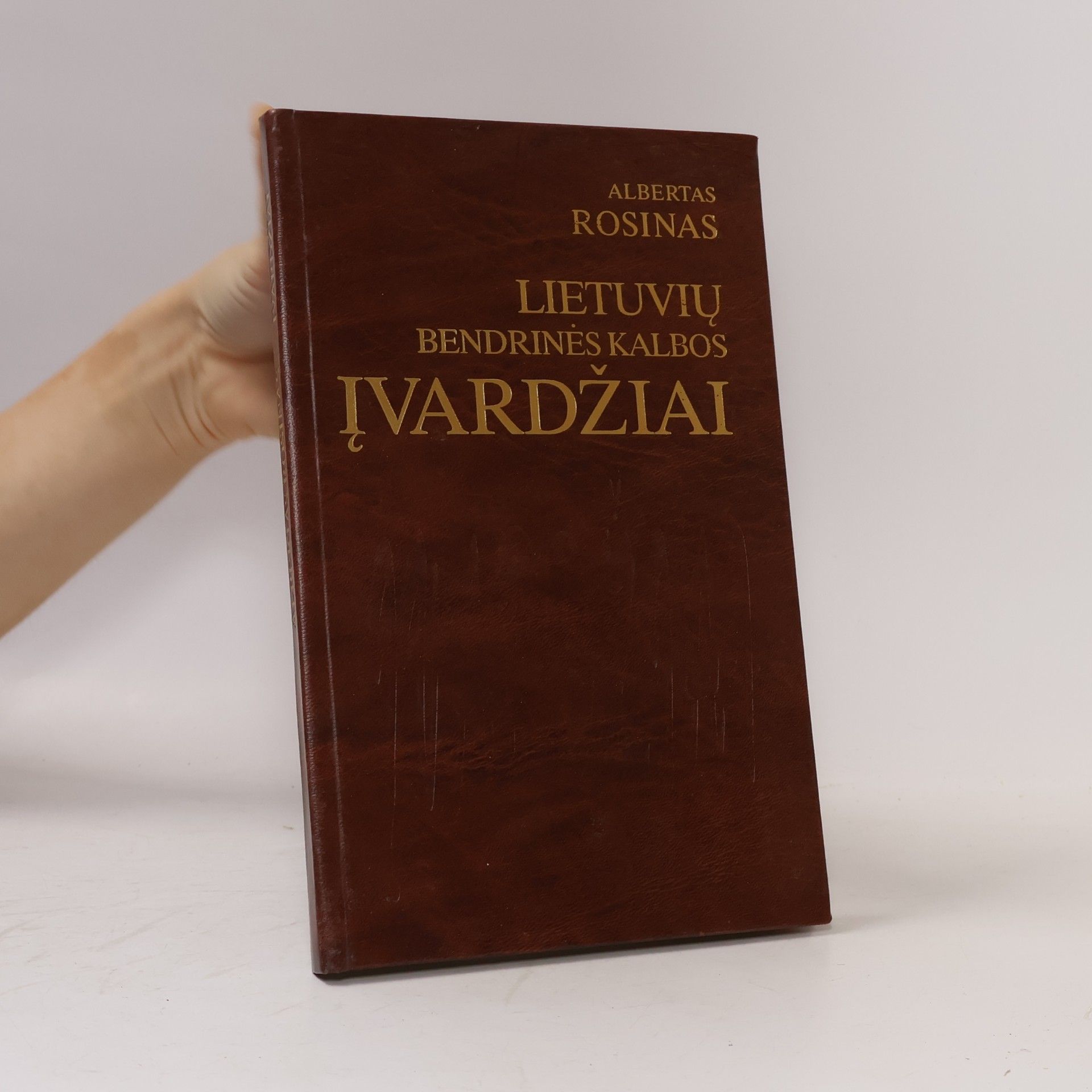 Albertas Rosinas Lietuvių bendrinės kalbos įvardžiai