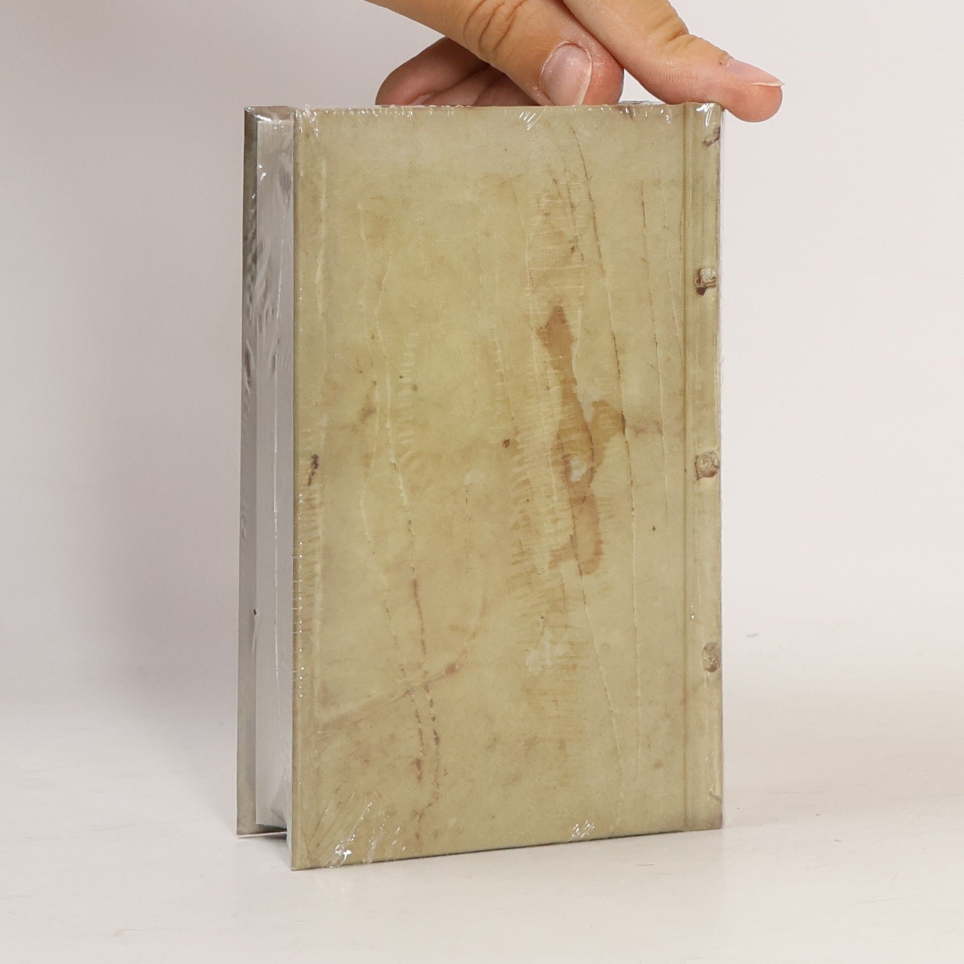 Erika Heitmeyer Das Paderborner Gesangbuch 1628 - Reprint mit Kommentar
