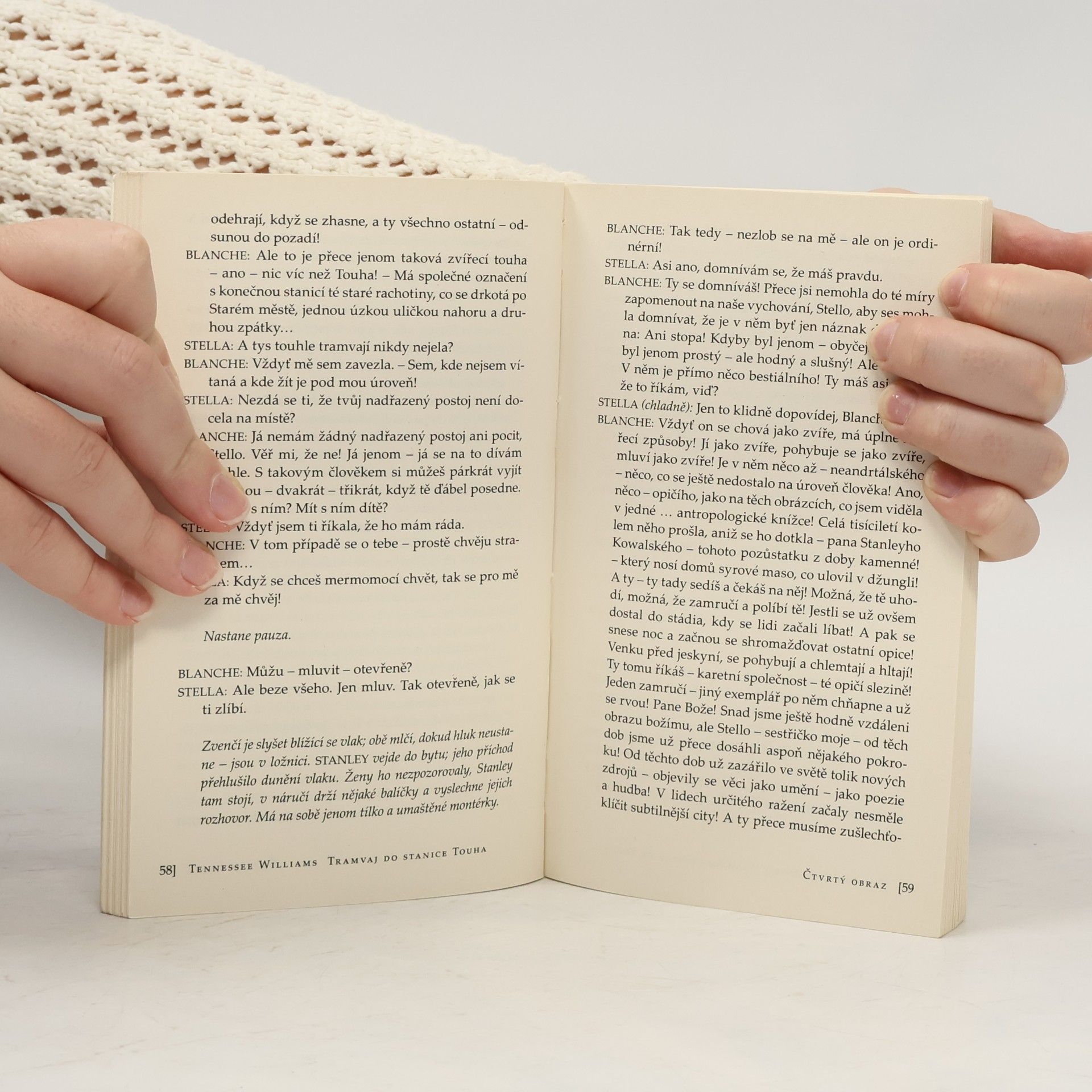 Tennessee Williams Tramvaj do stanice Touha